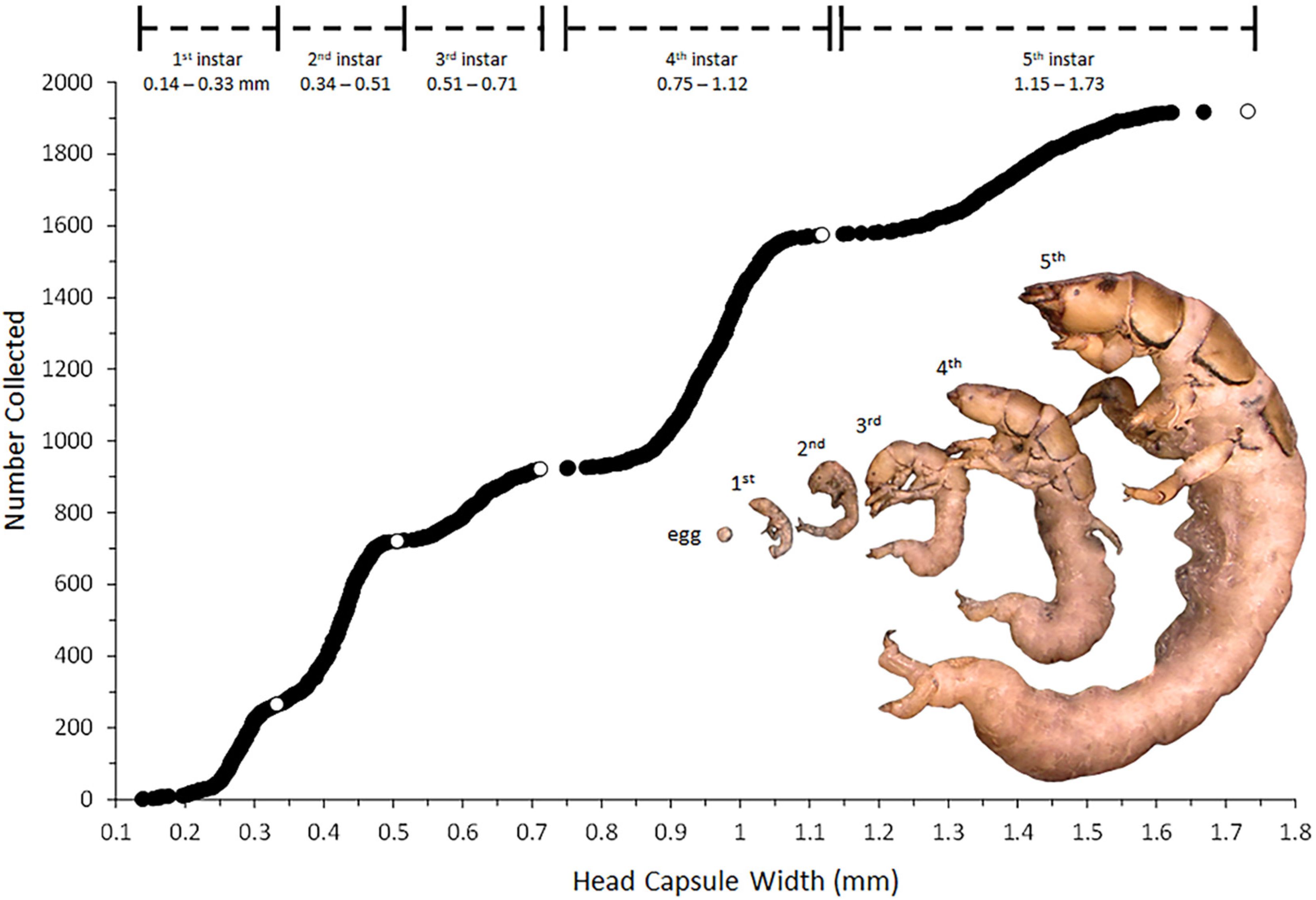 Insects 13 00659 g003 Insects 13 00659 g003