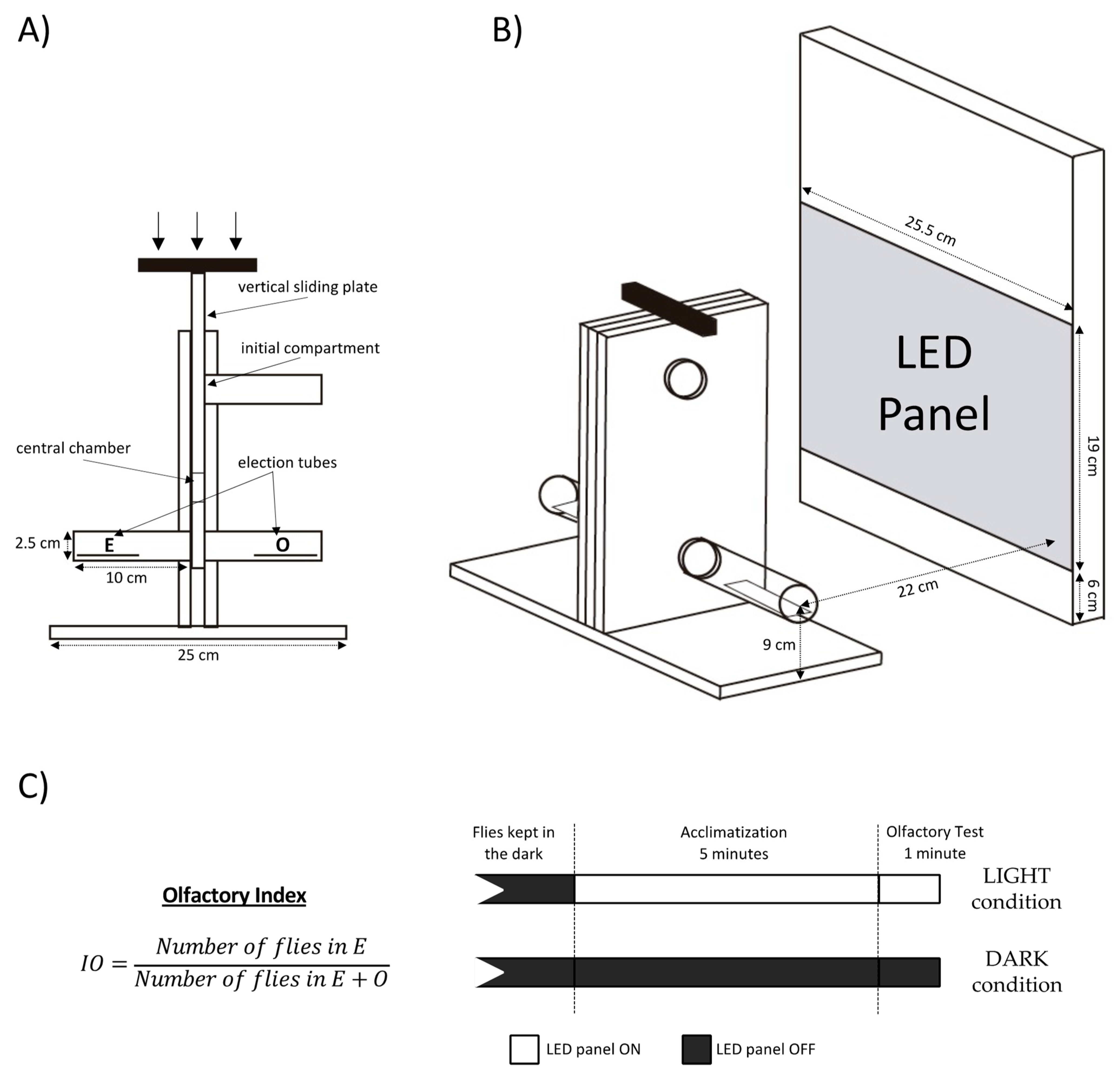Insects 13 00662 g001