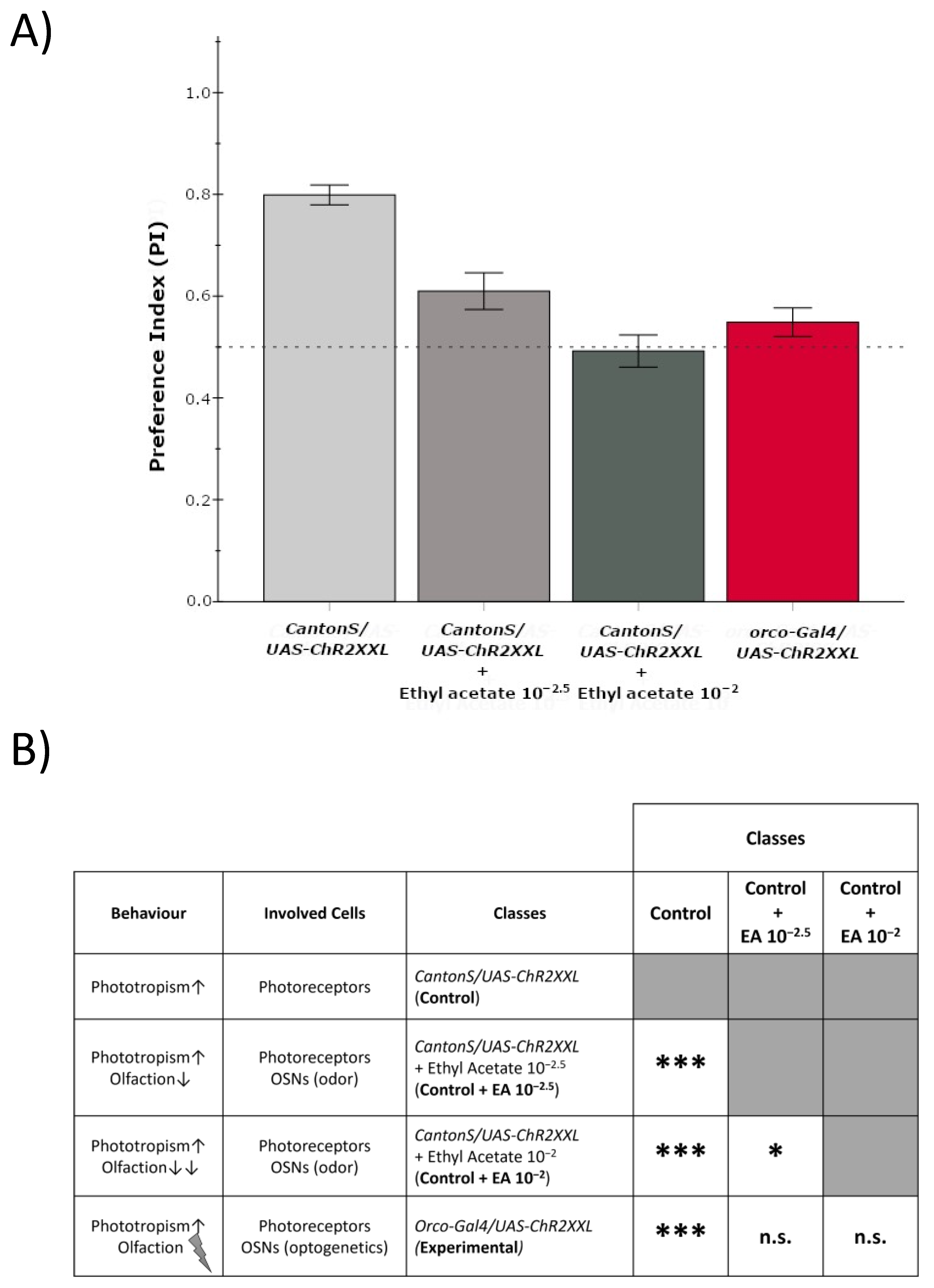 Insects 13 00662 g005