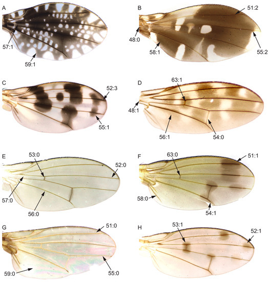 Insects 13 00665 g004