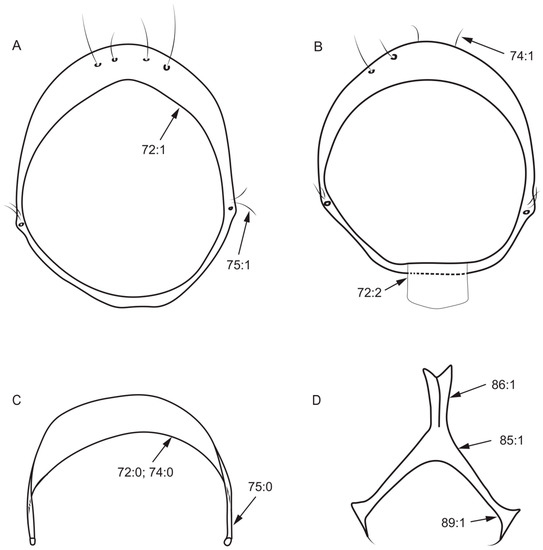 Insects 13 00665 g006