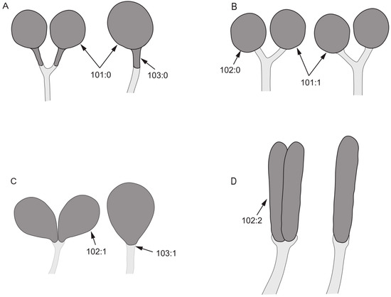 Insects 13 00665 g009