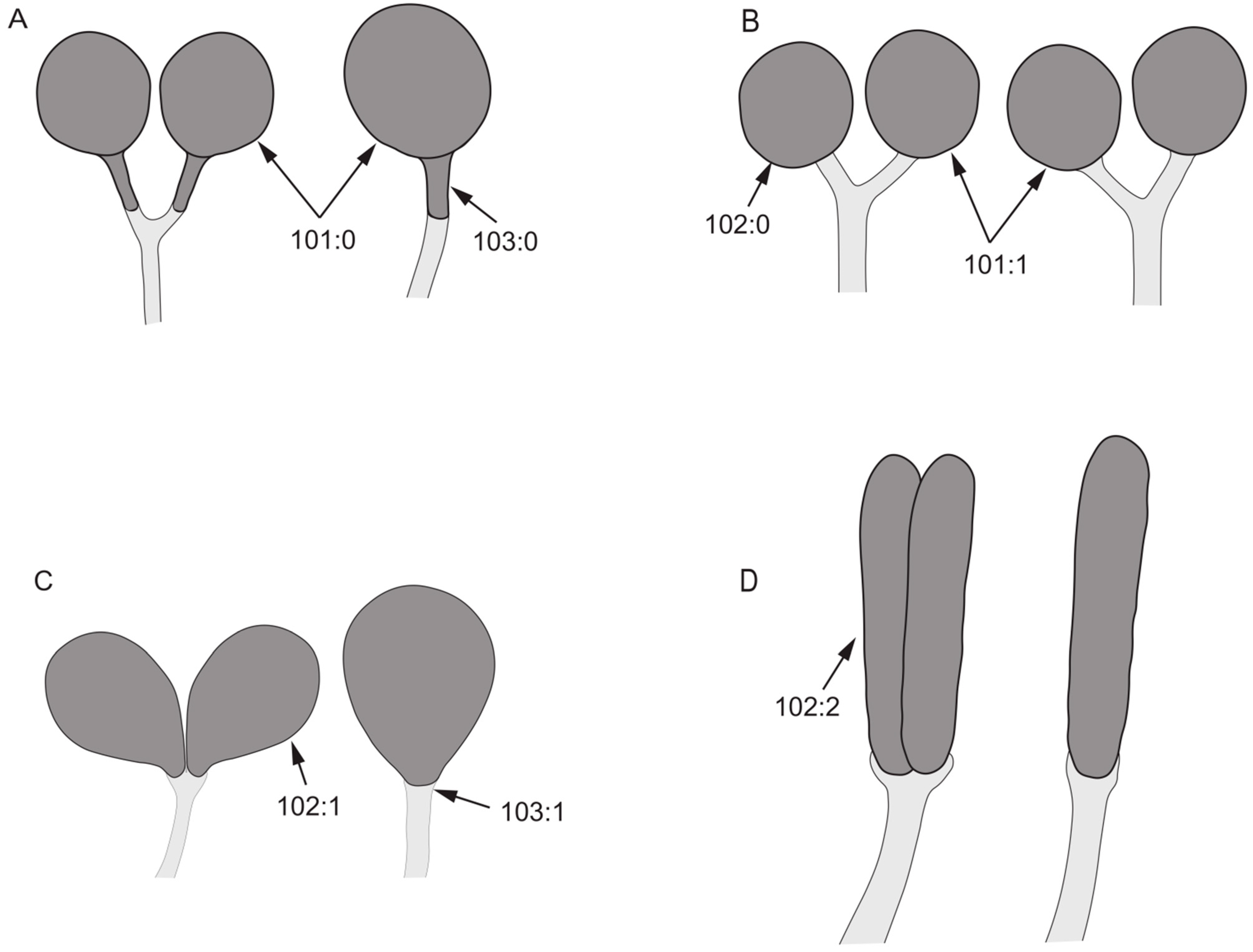 Insects 13 00665 g009