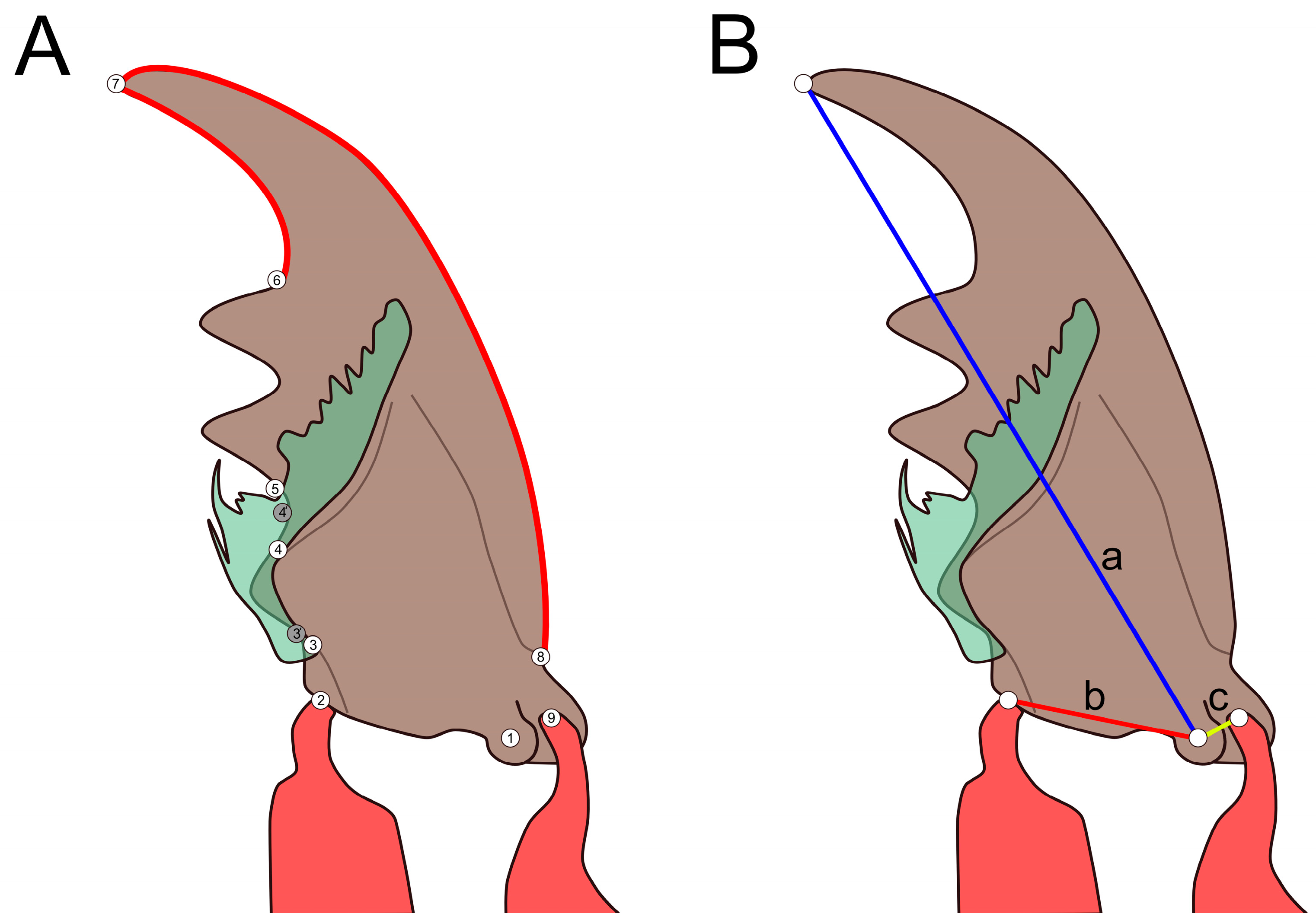 Insects 13 00667 g001