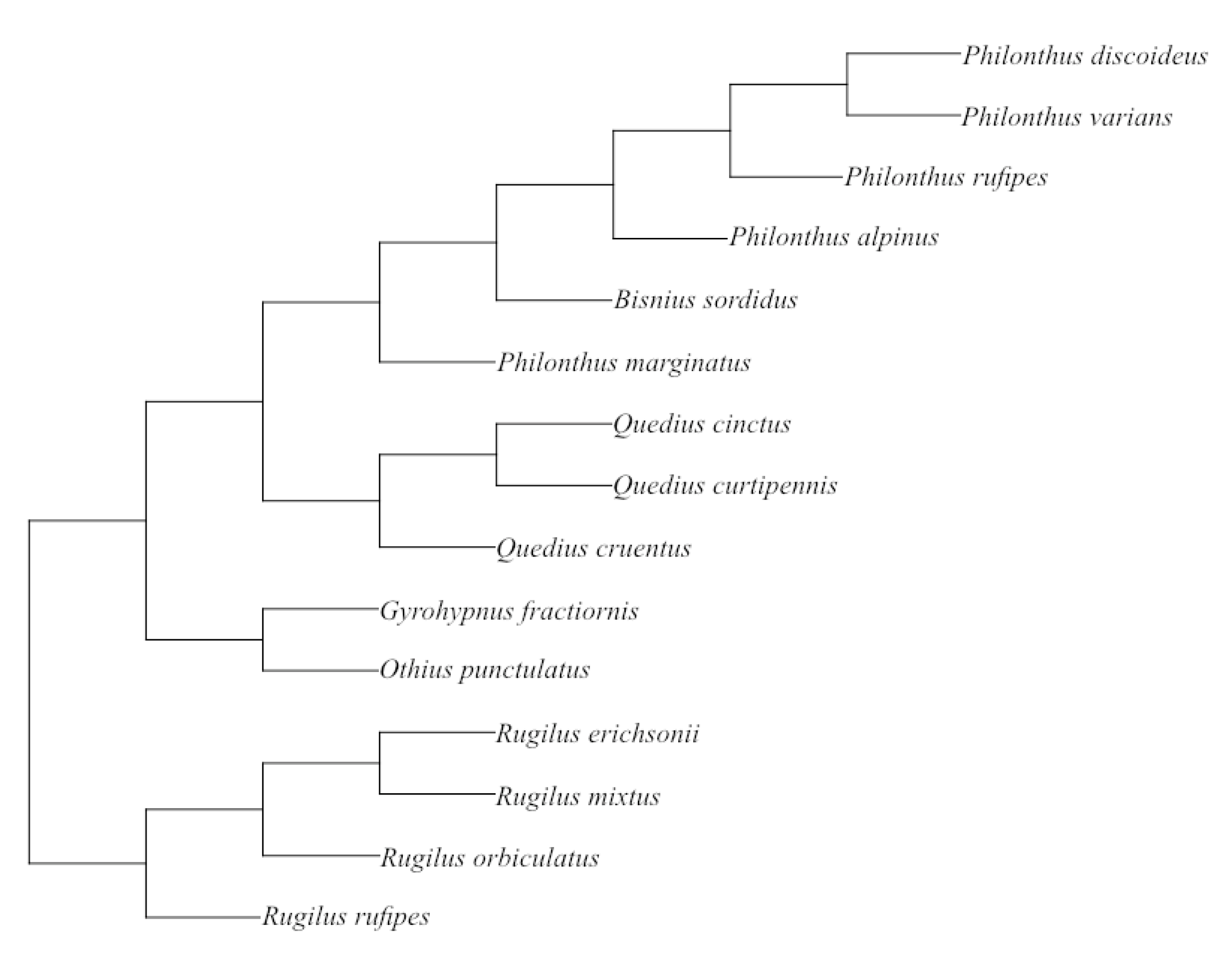 Insects 13 00667 g002