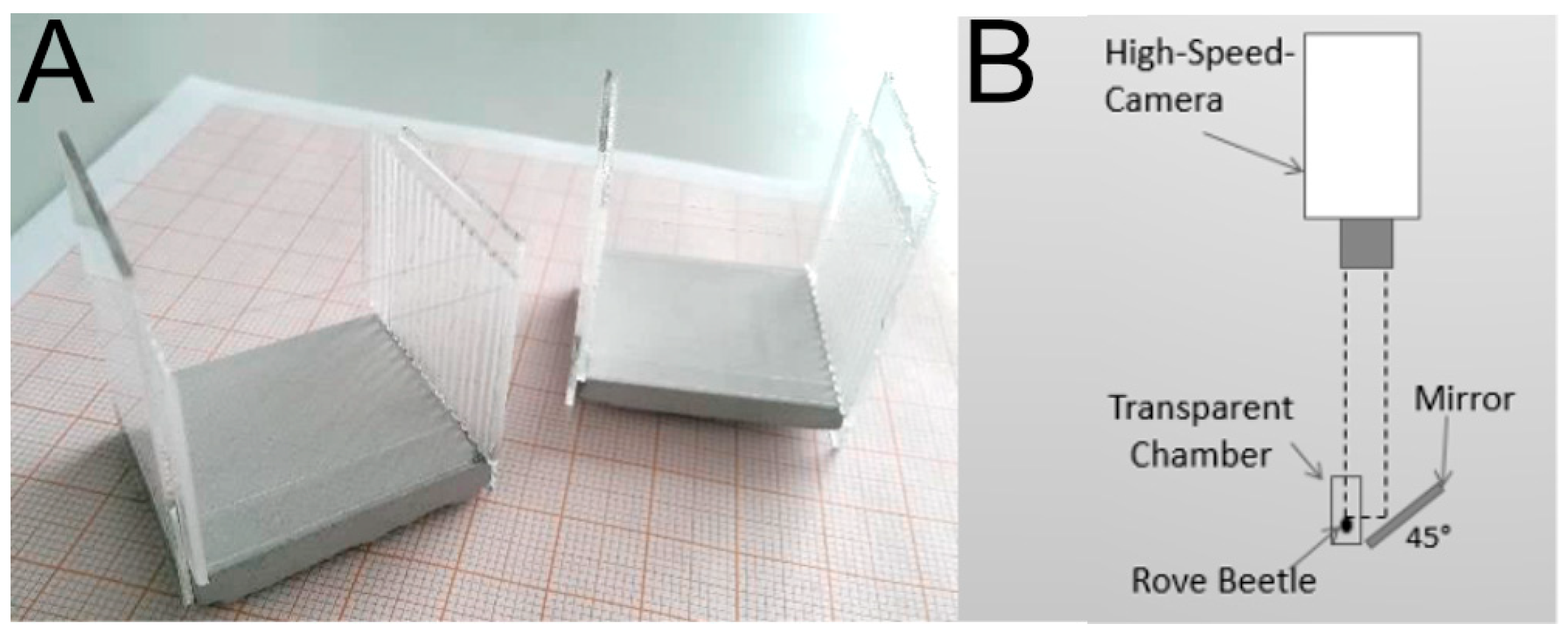 Insects 13 00667 g003