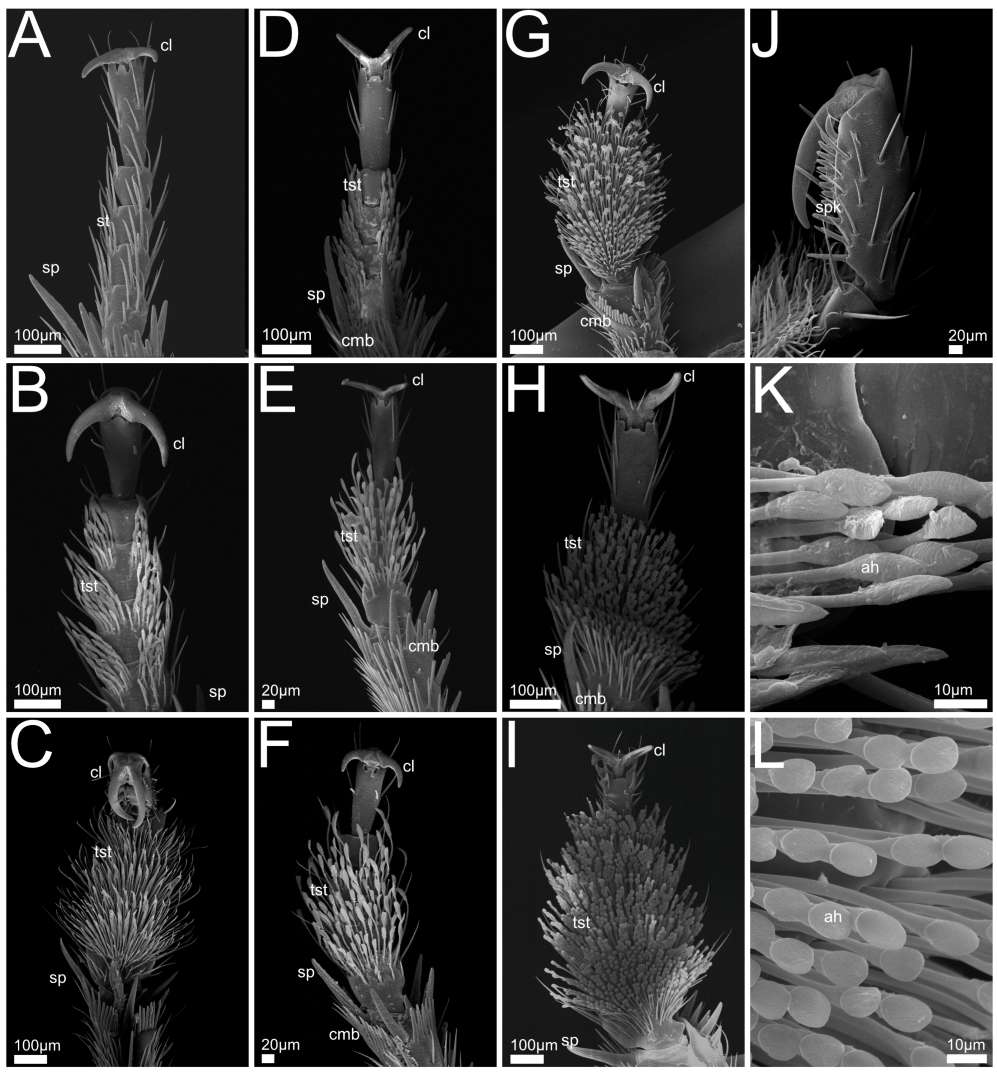 Insects 13 00667 g004