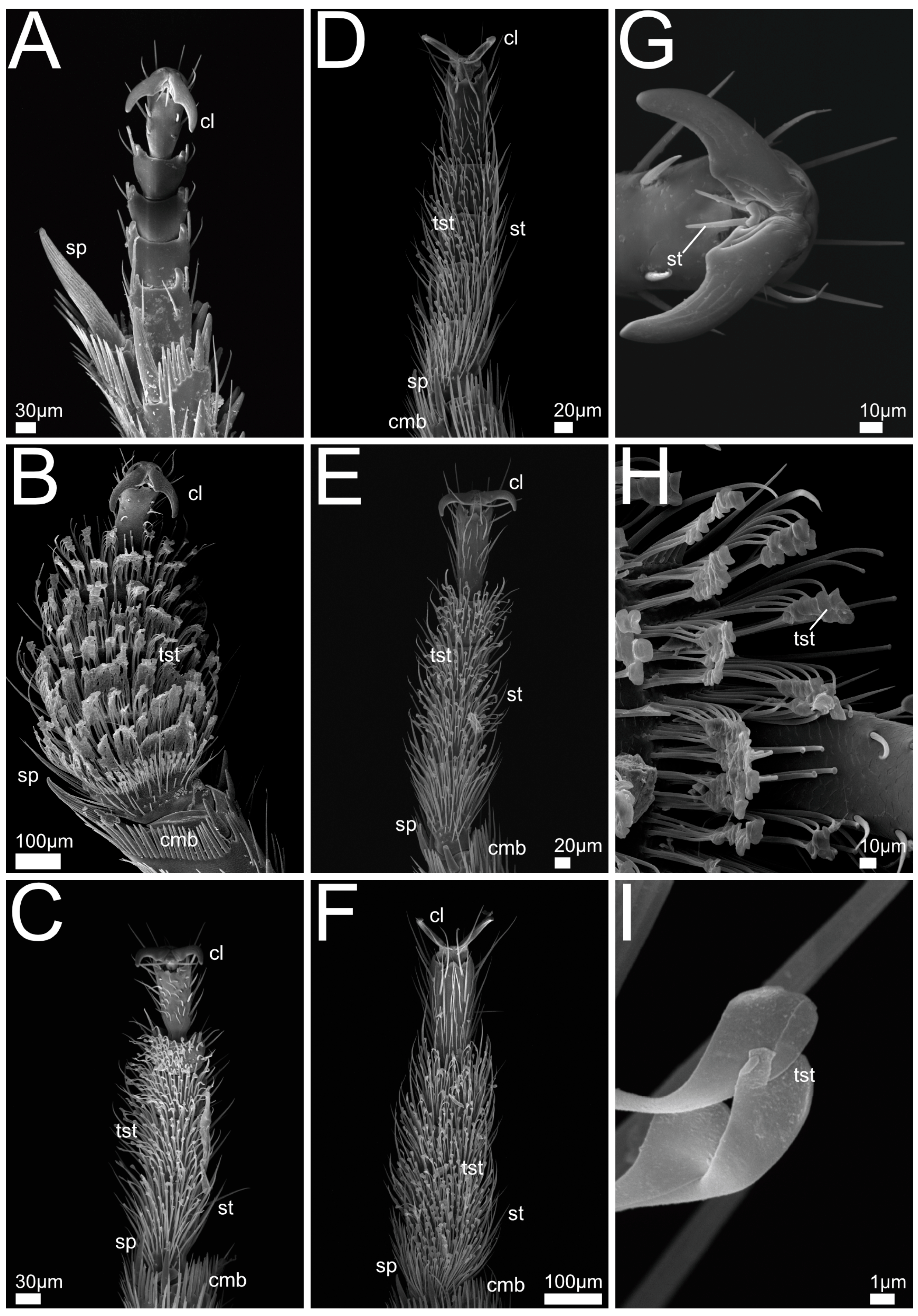 Insects 13 00667 g005