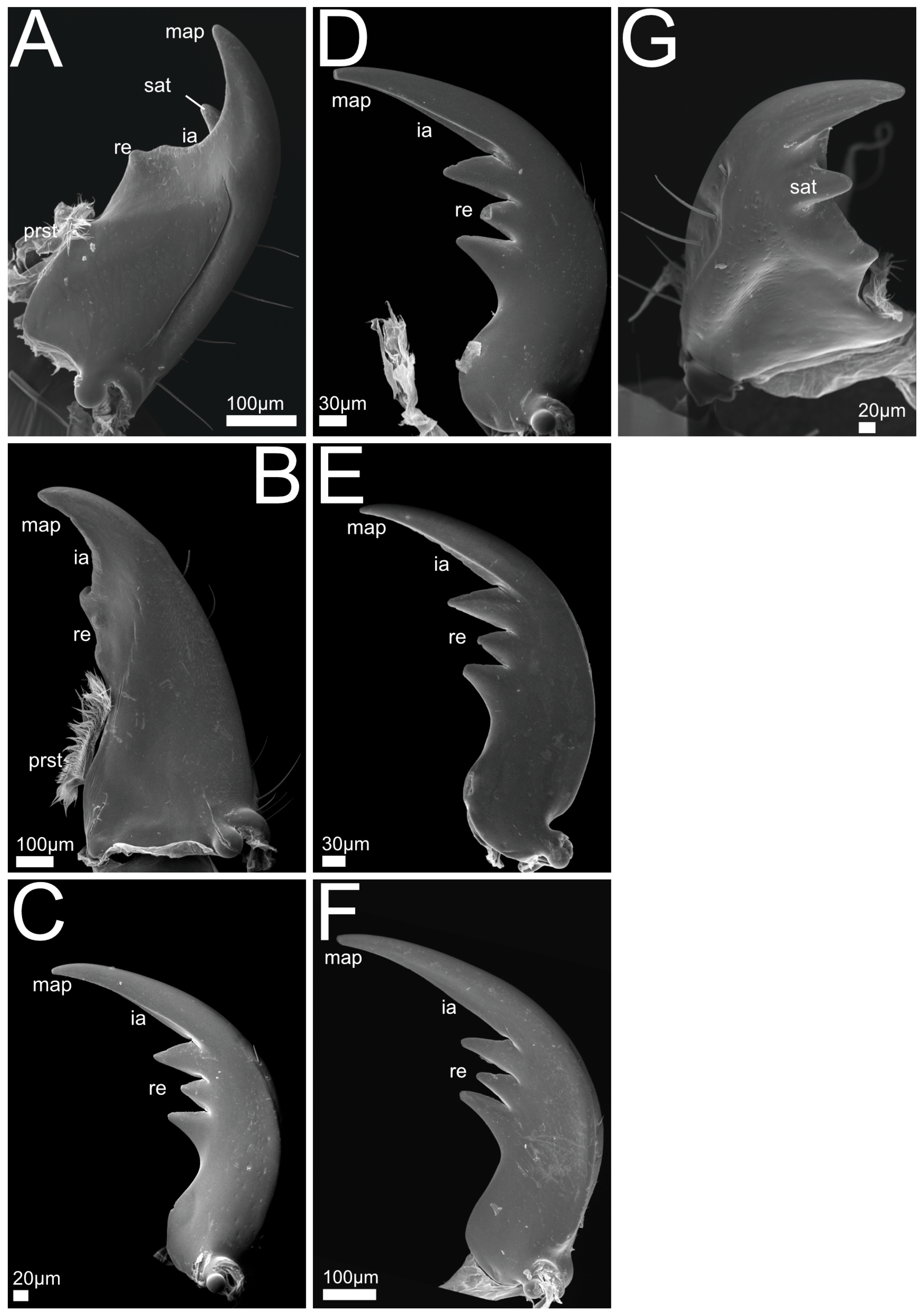 Insects 13 00667 g009