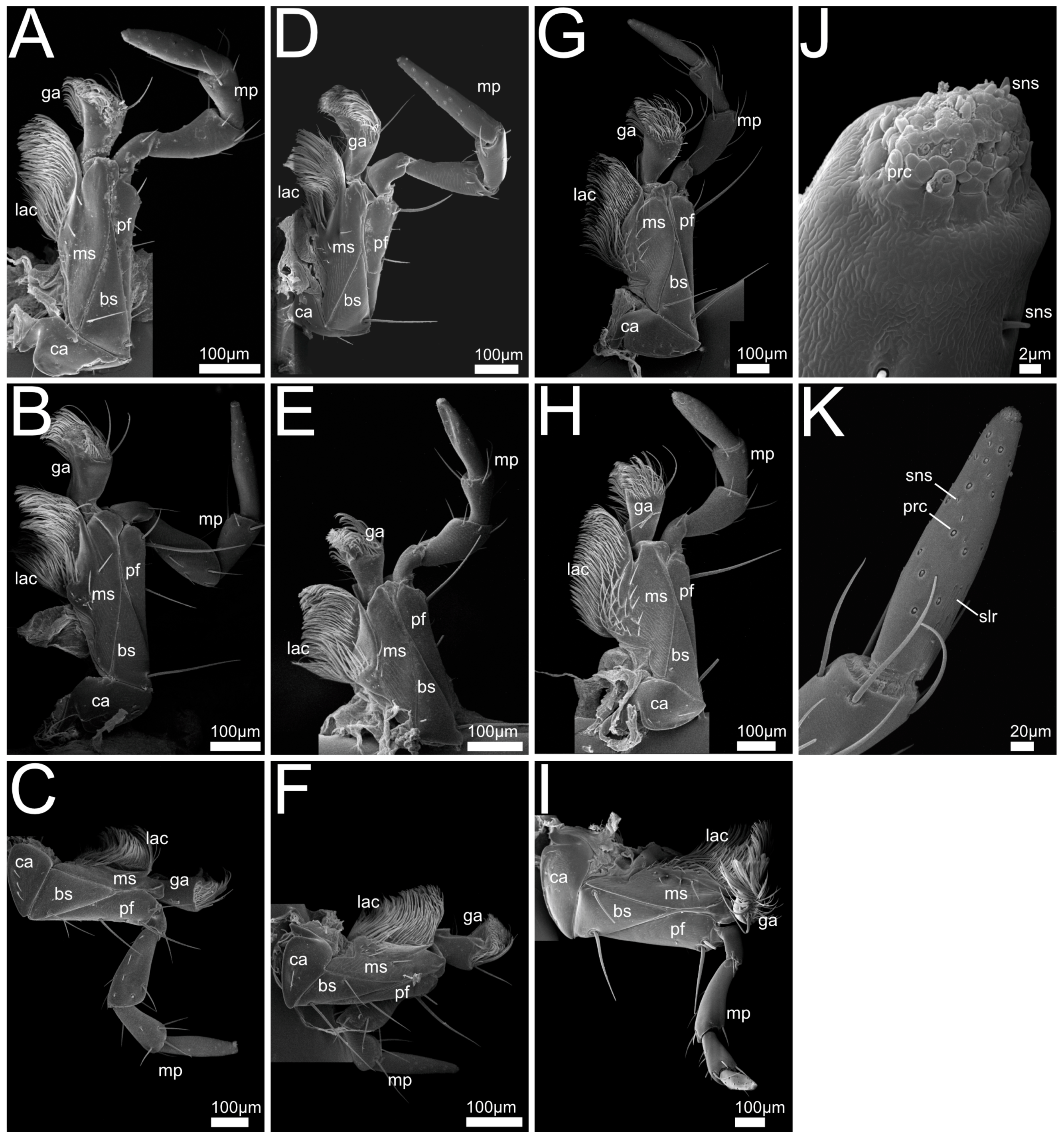 Insects 13 00667 g010
