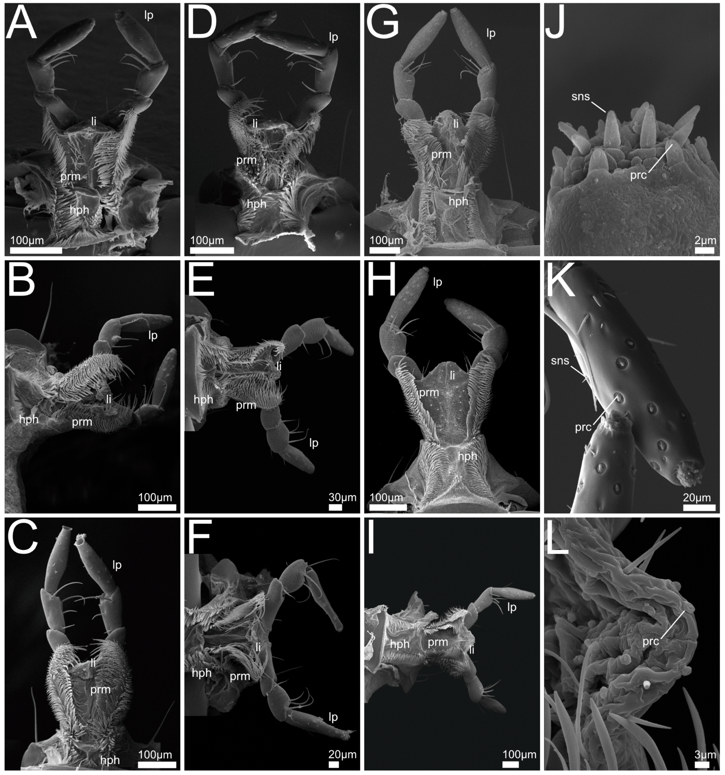 Insects 13 00667 g012
