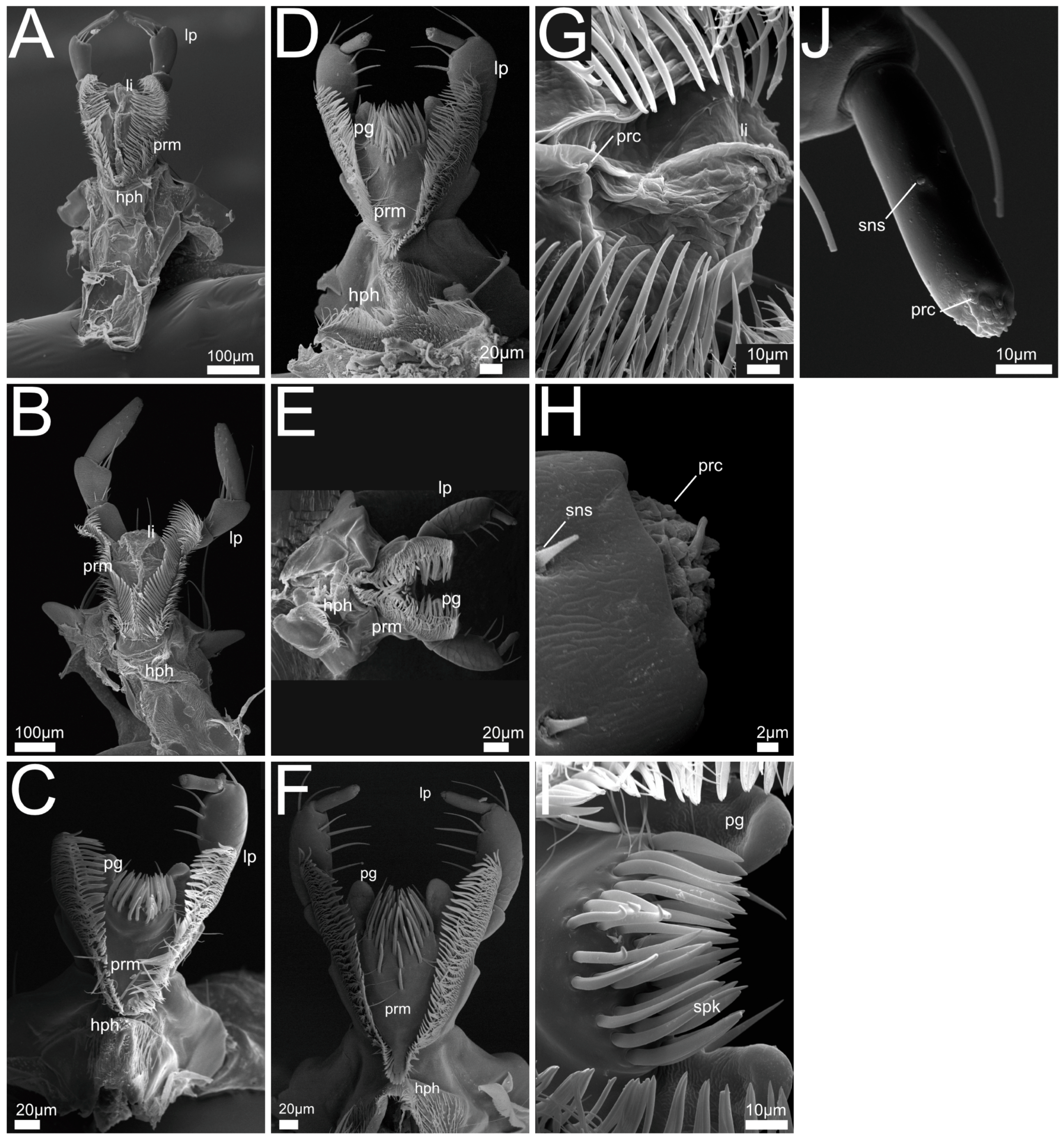 Insects 13 00667 g013