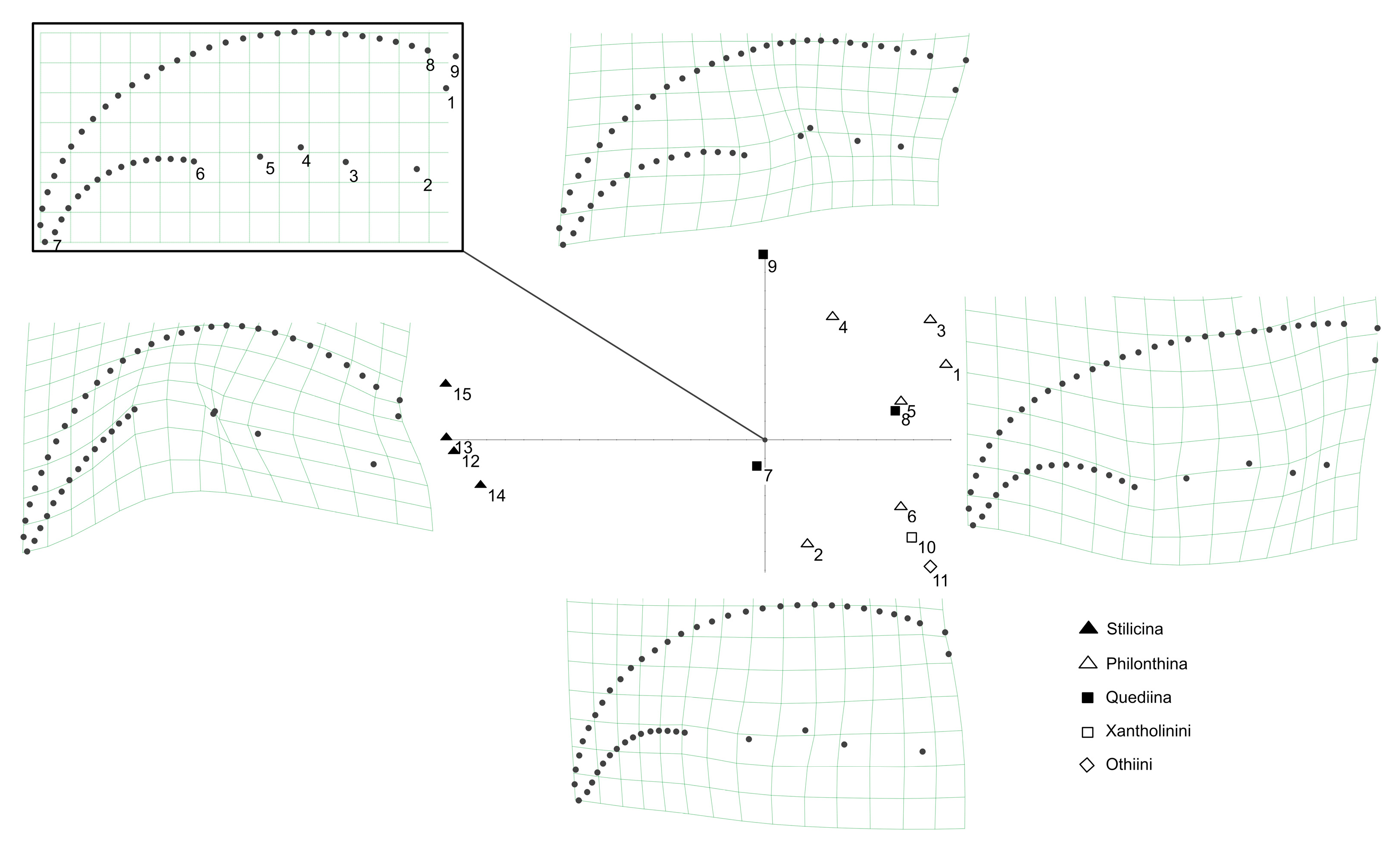 Insects 13 00667 g014