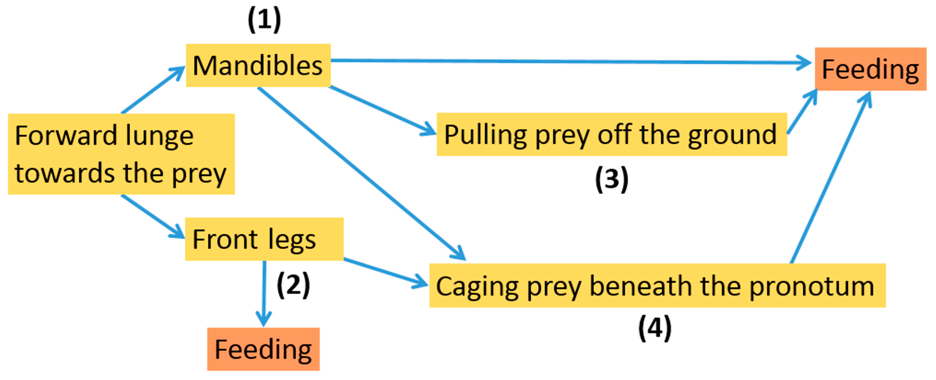Insects 13 00667 g022