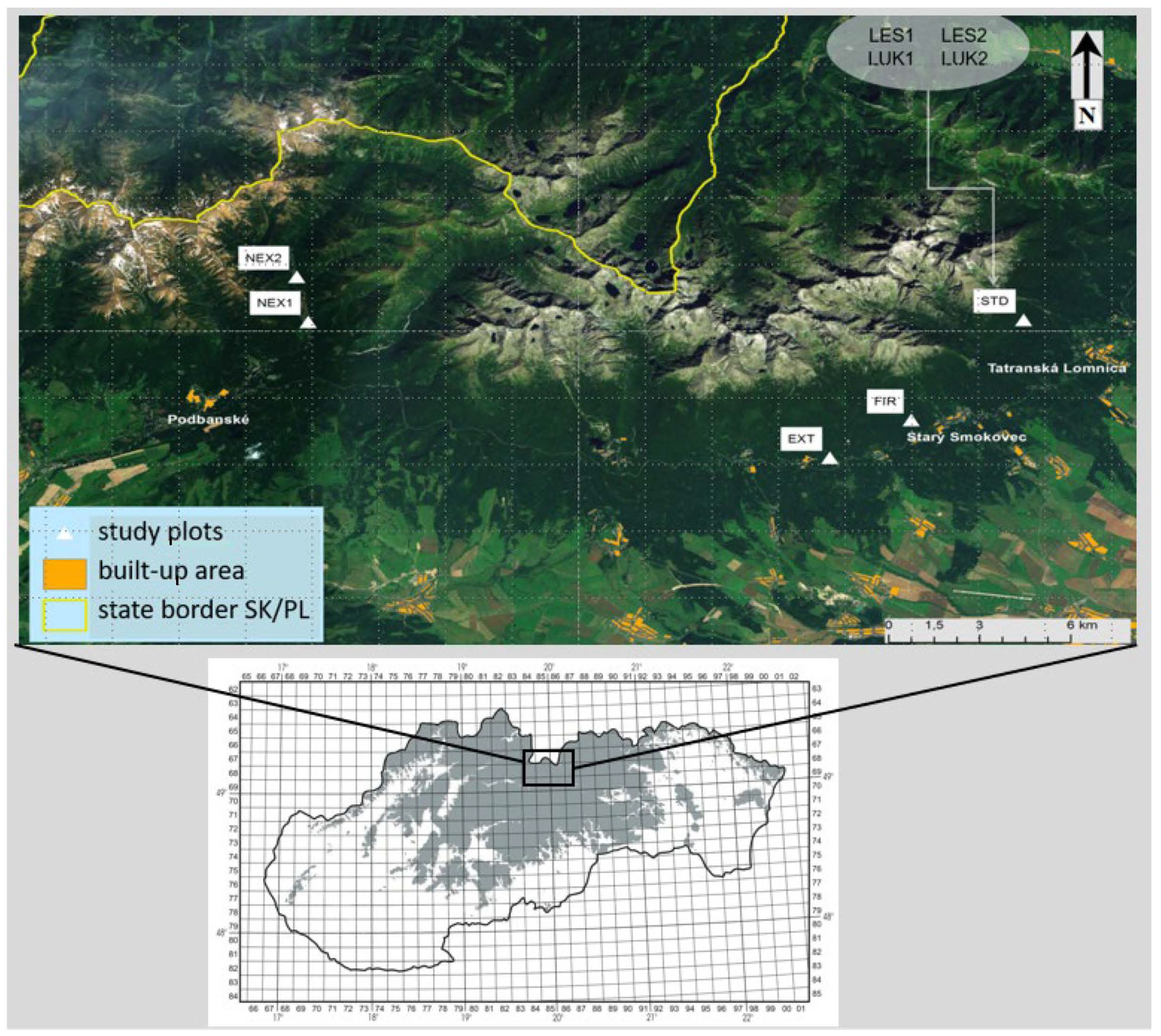 Insects 13 00670 g001