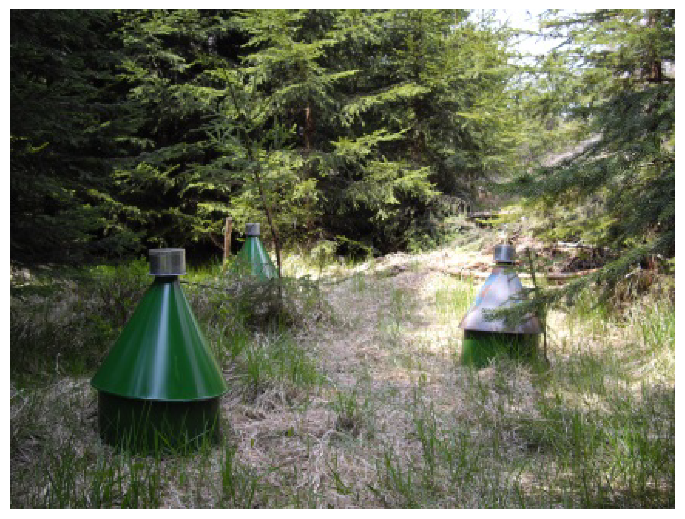 Insects 13 00670 g002