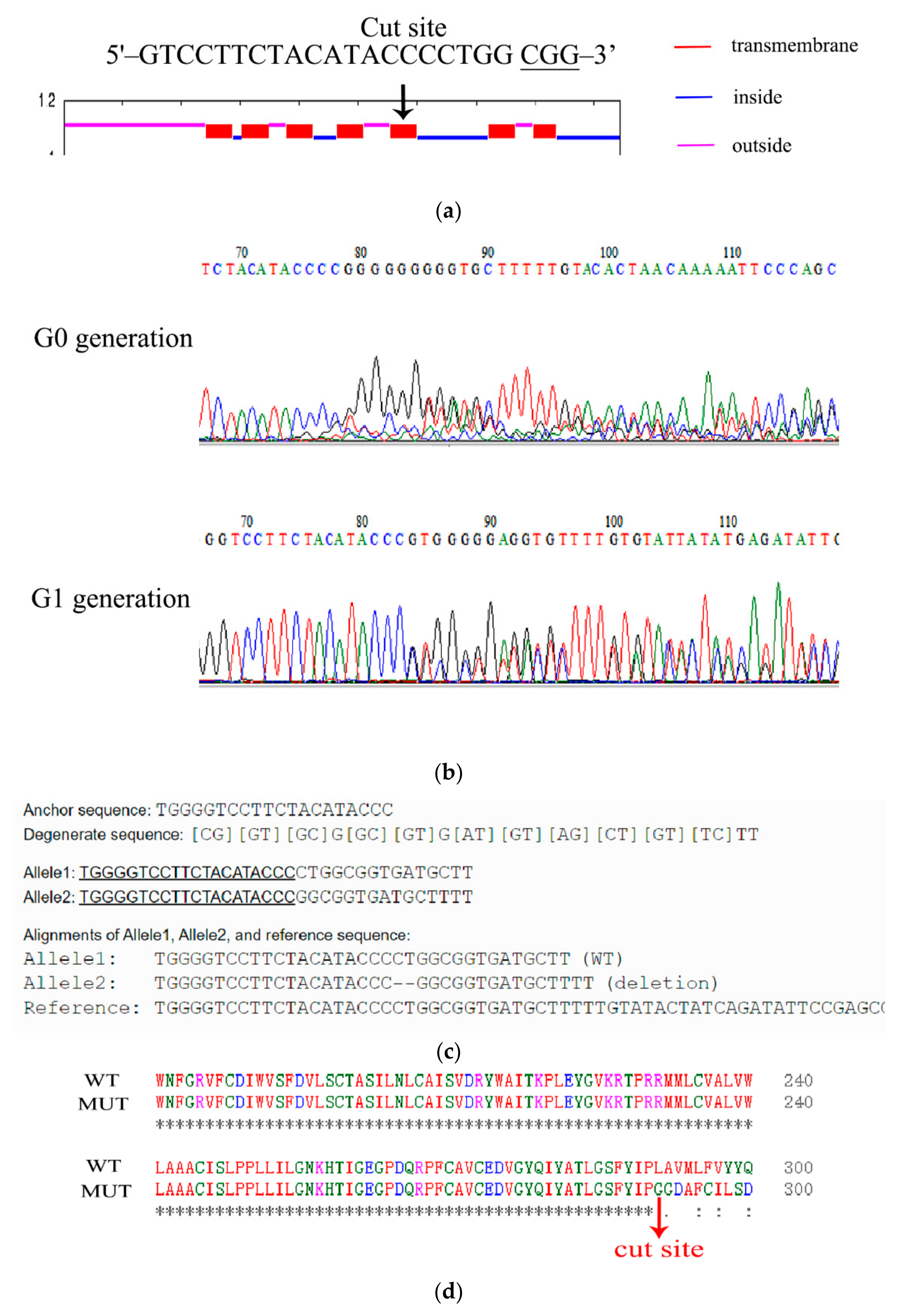 Insects 13 00671 g003