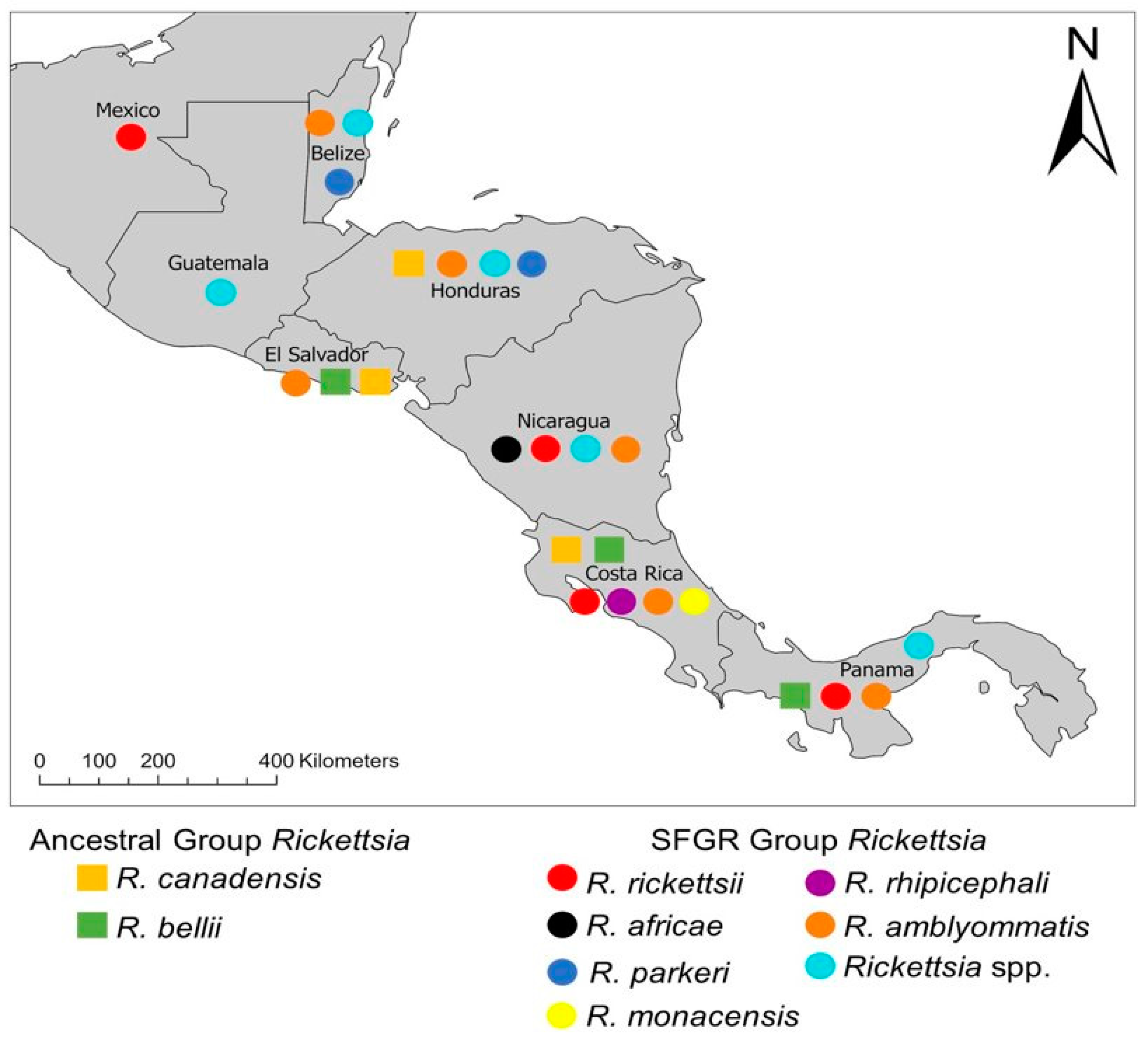 Insects 13 00674 g001