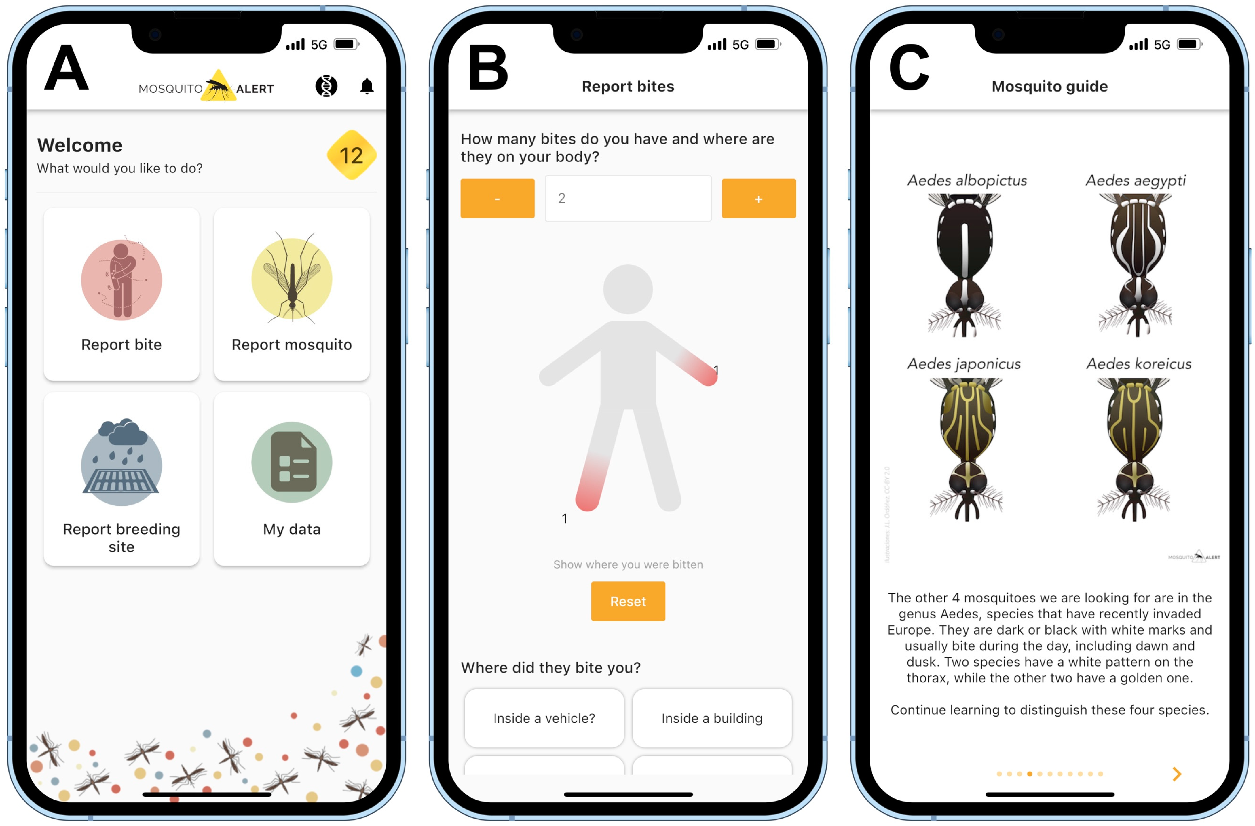 Insects 13 00675 g001