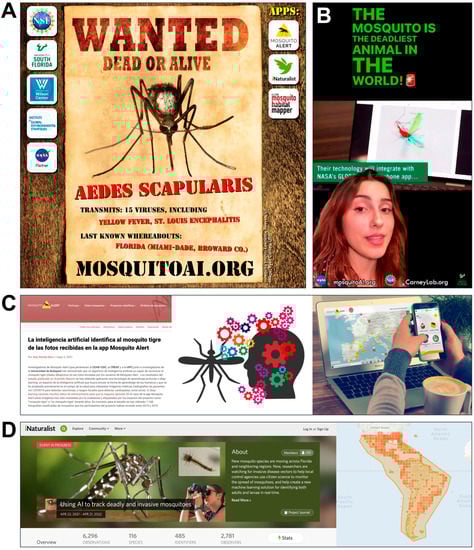 Insects 13 00675 g003 550