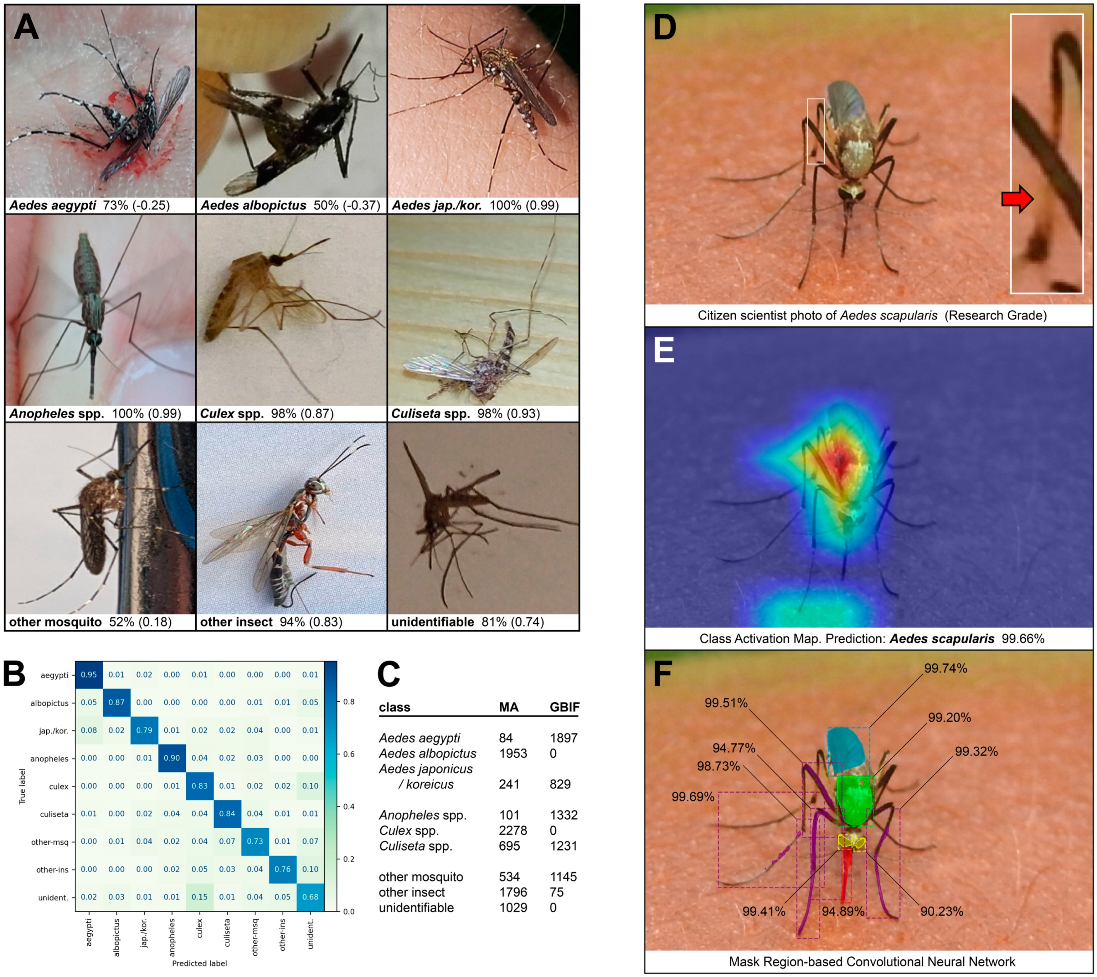 Insects 13 00675 g006