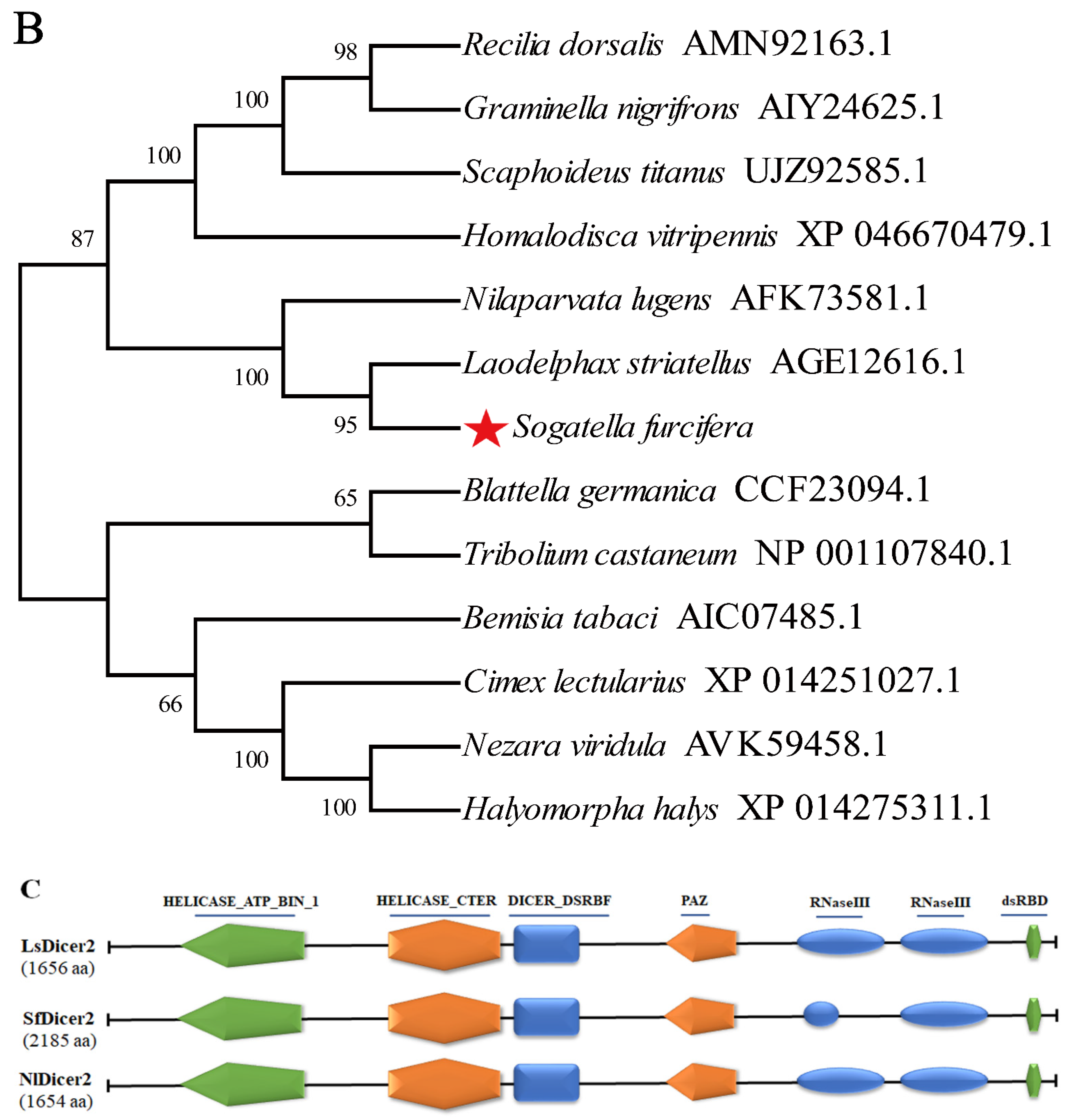 Insects 13 00677 g001b