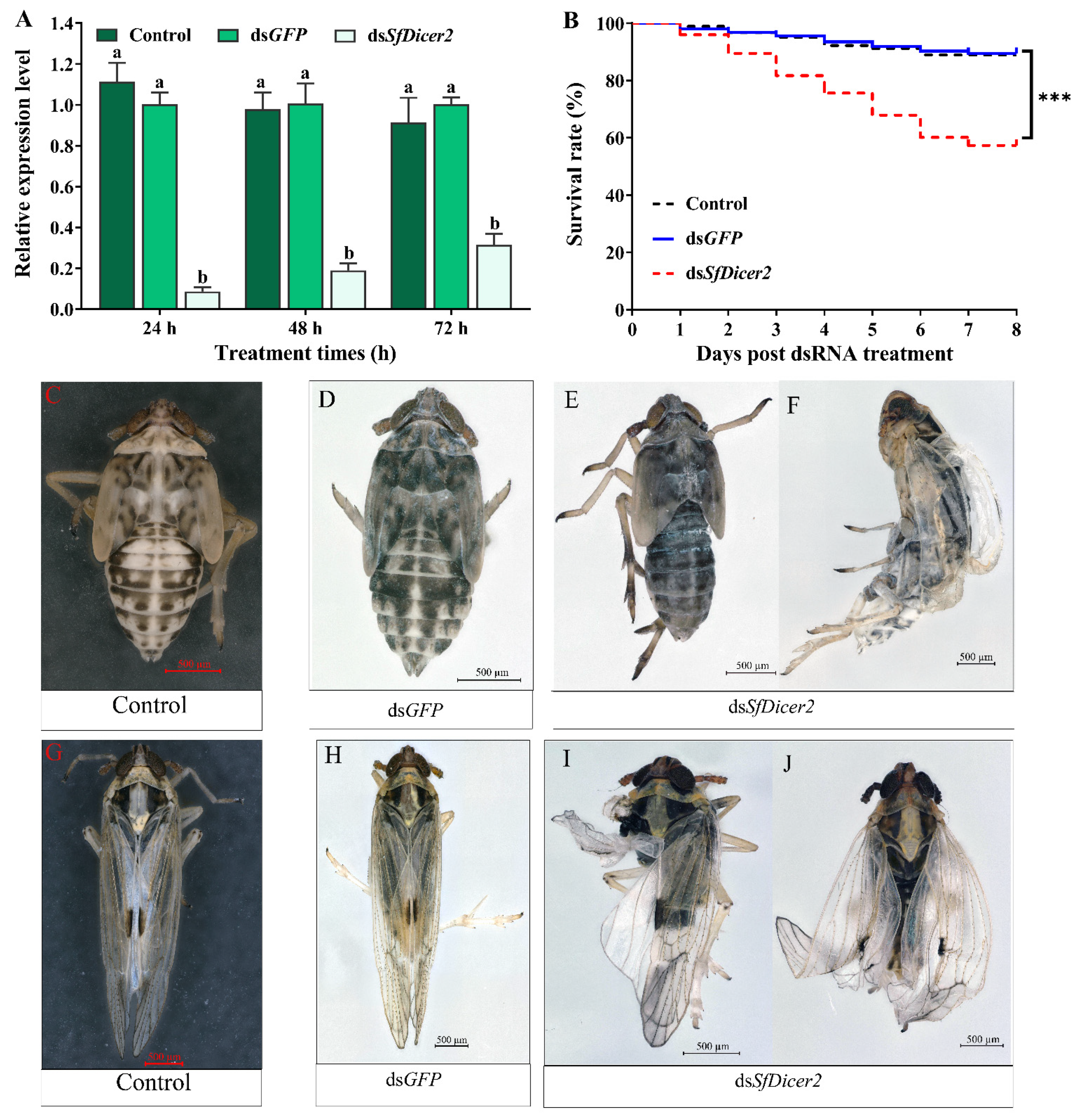 Insects 13 00677 g003