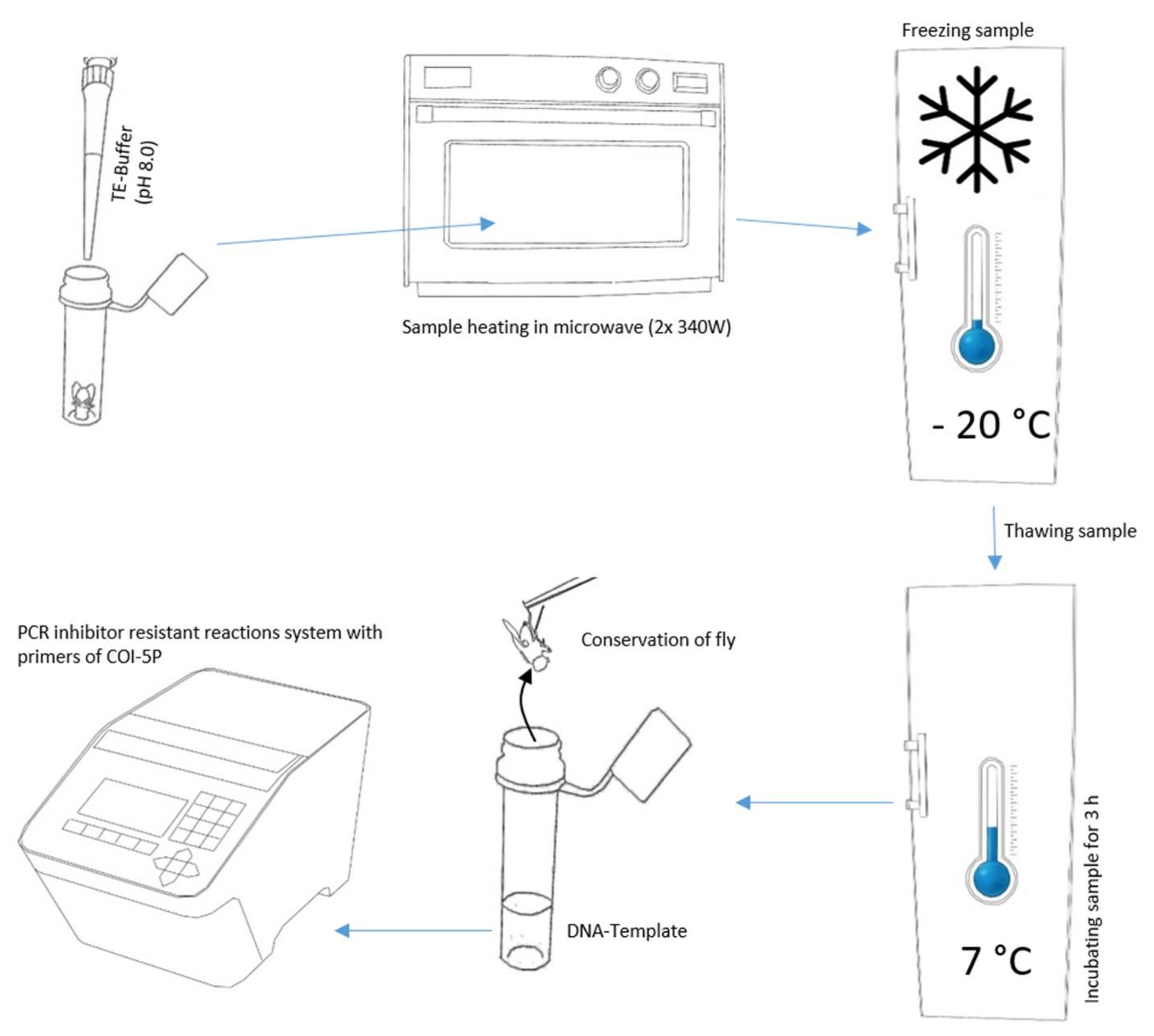 Insects 13 00679 g001