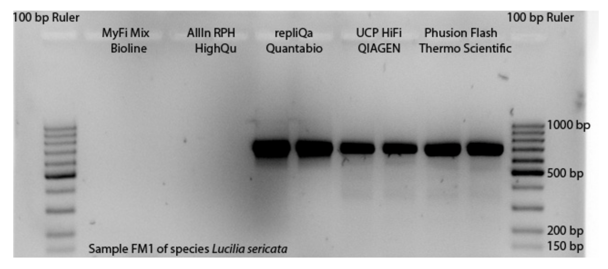 Insects 13 00679 g002