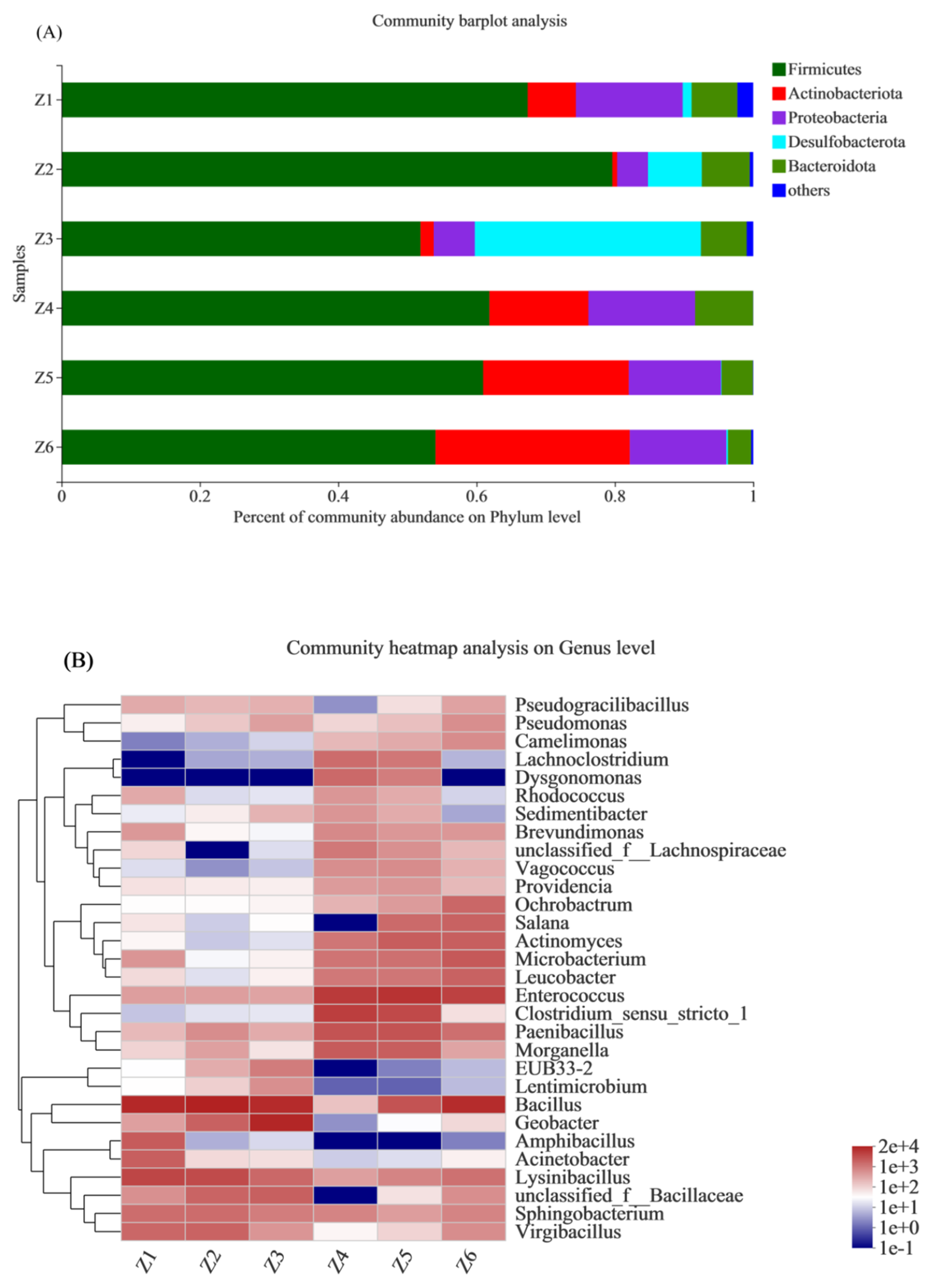 Insects 13 00683 g004