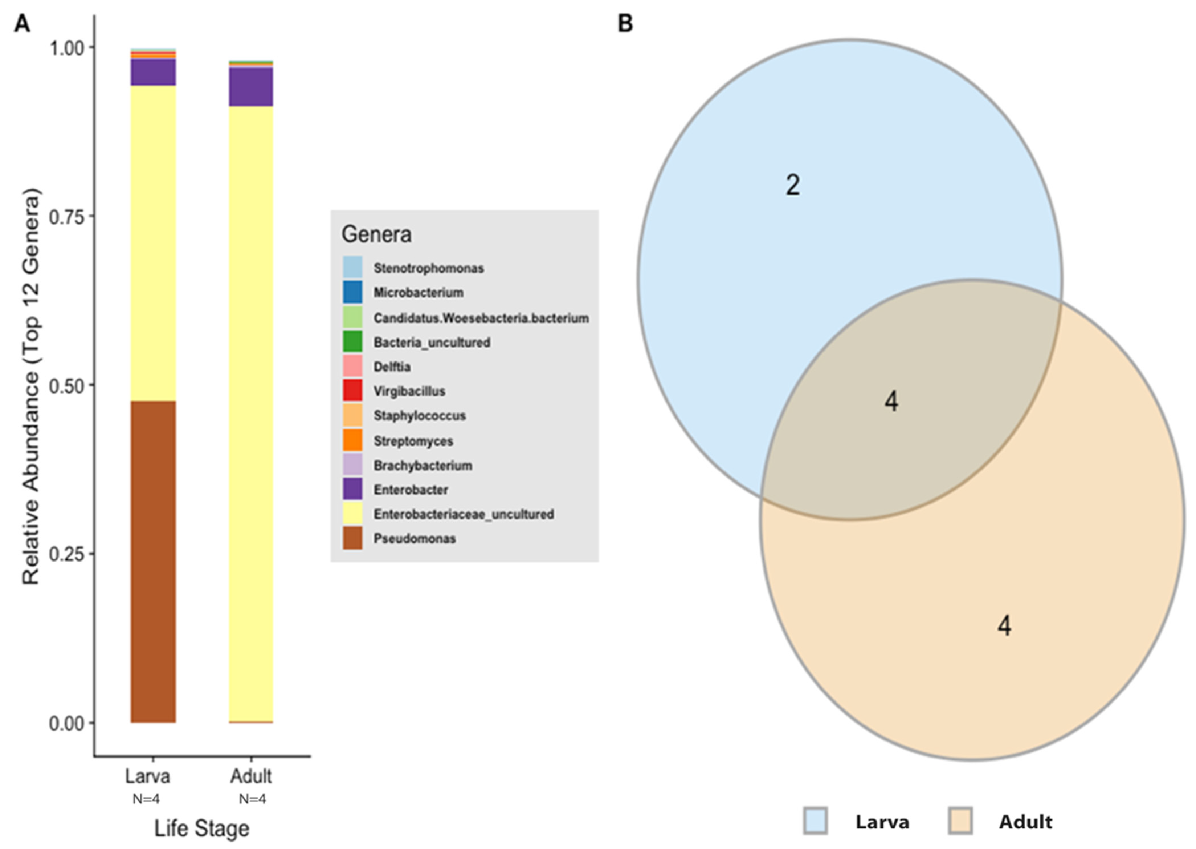 Insects 13 00685 g004
