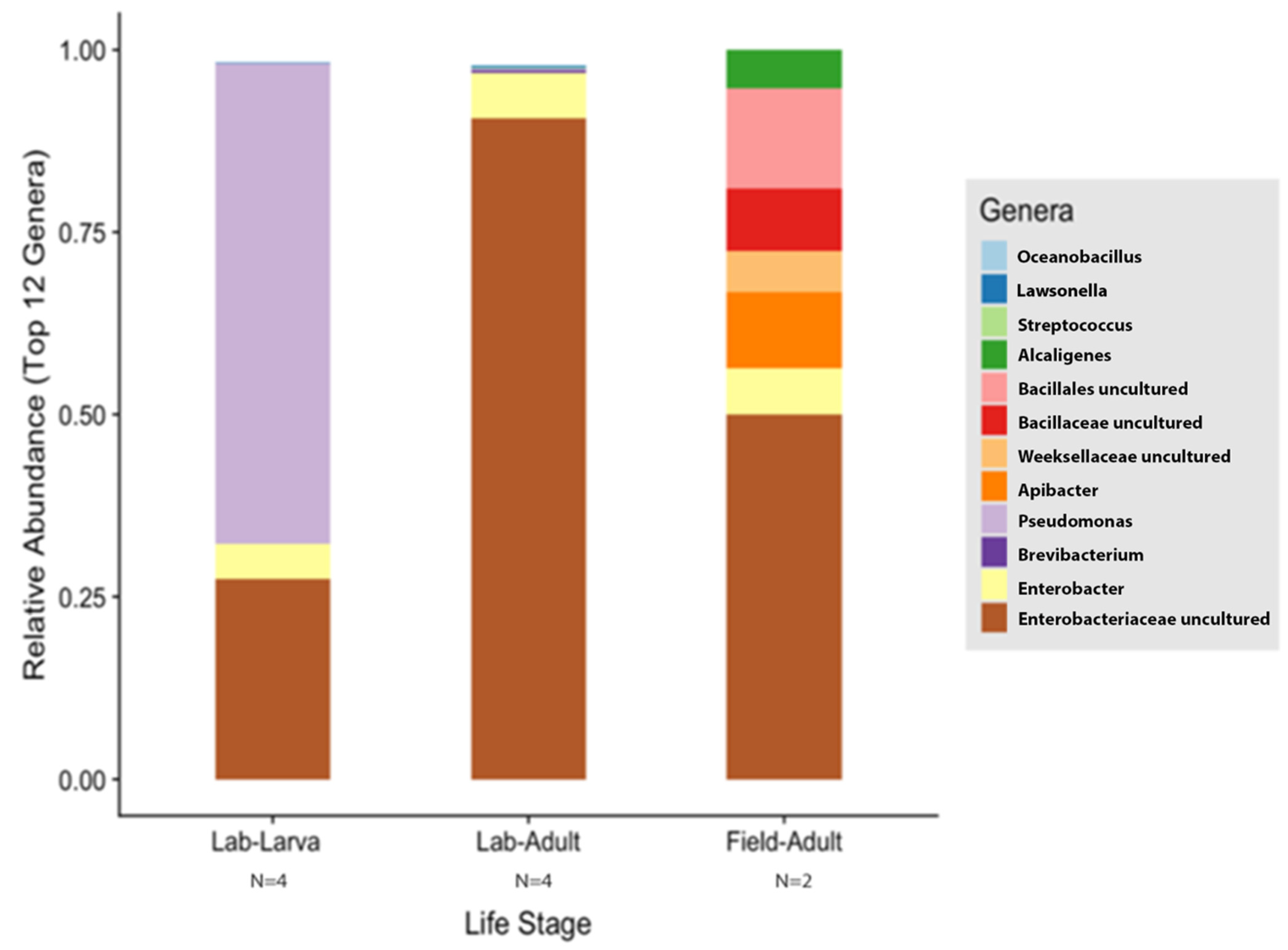 Insects 13 00685 g007