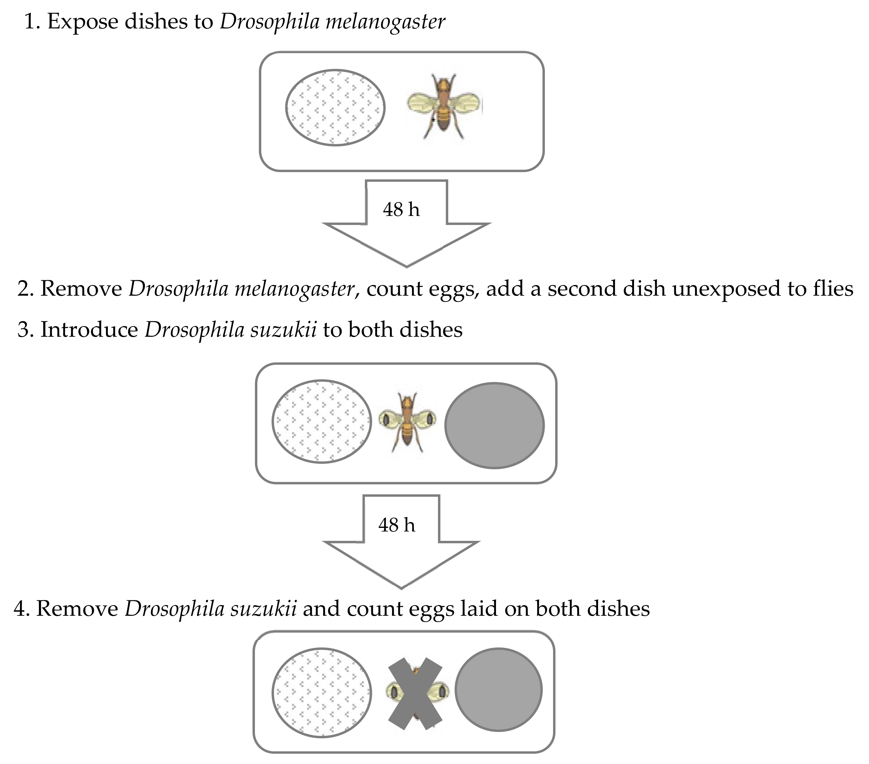 Insects 13 00688 g001