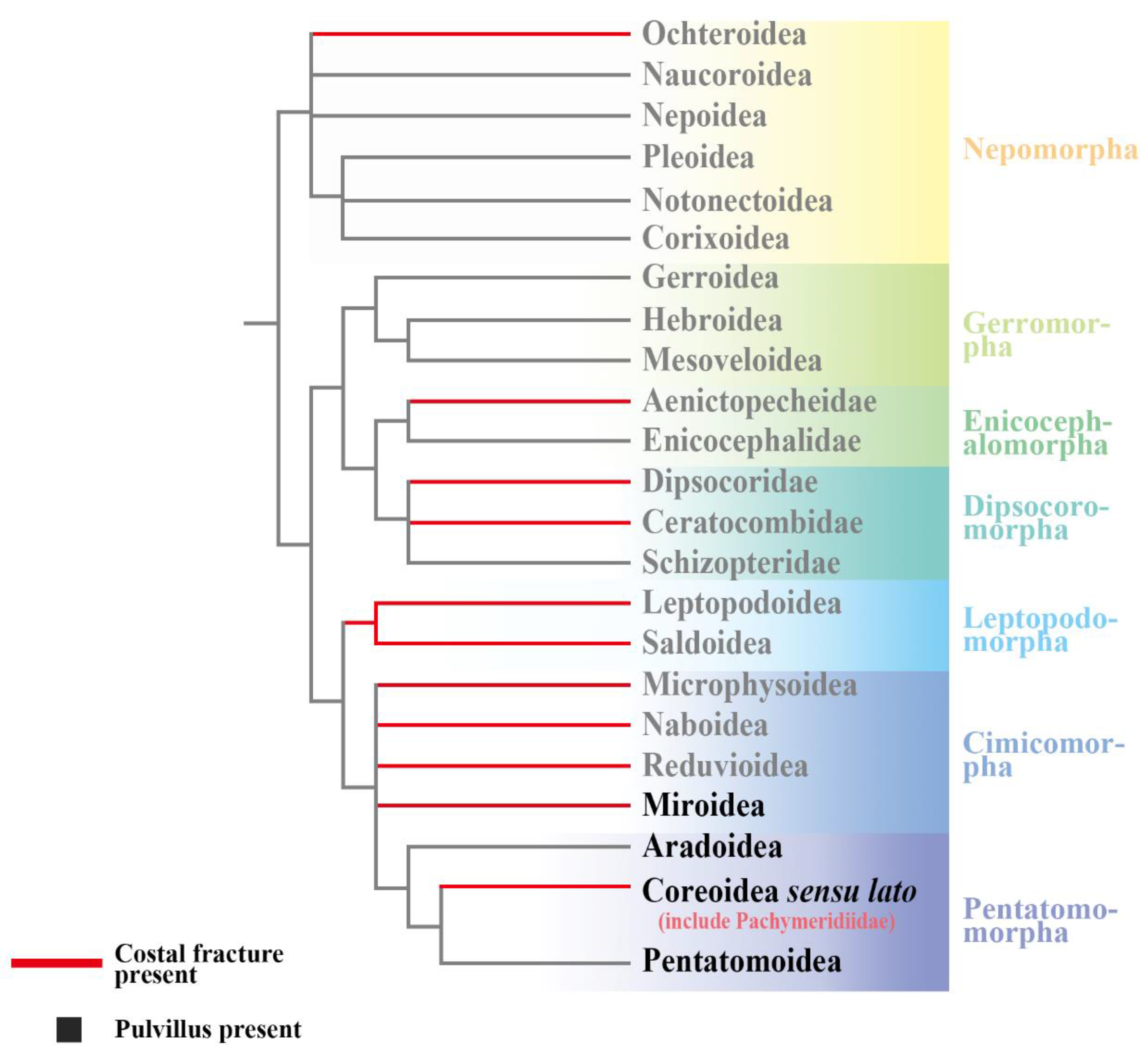Insects 13 00689 g004