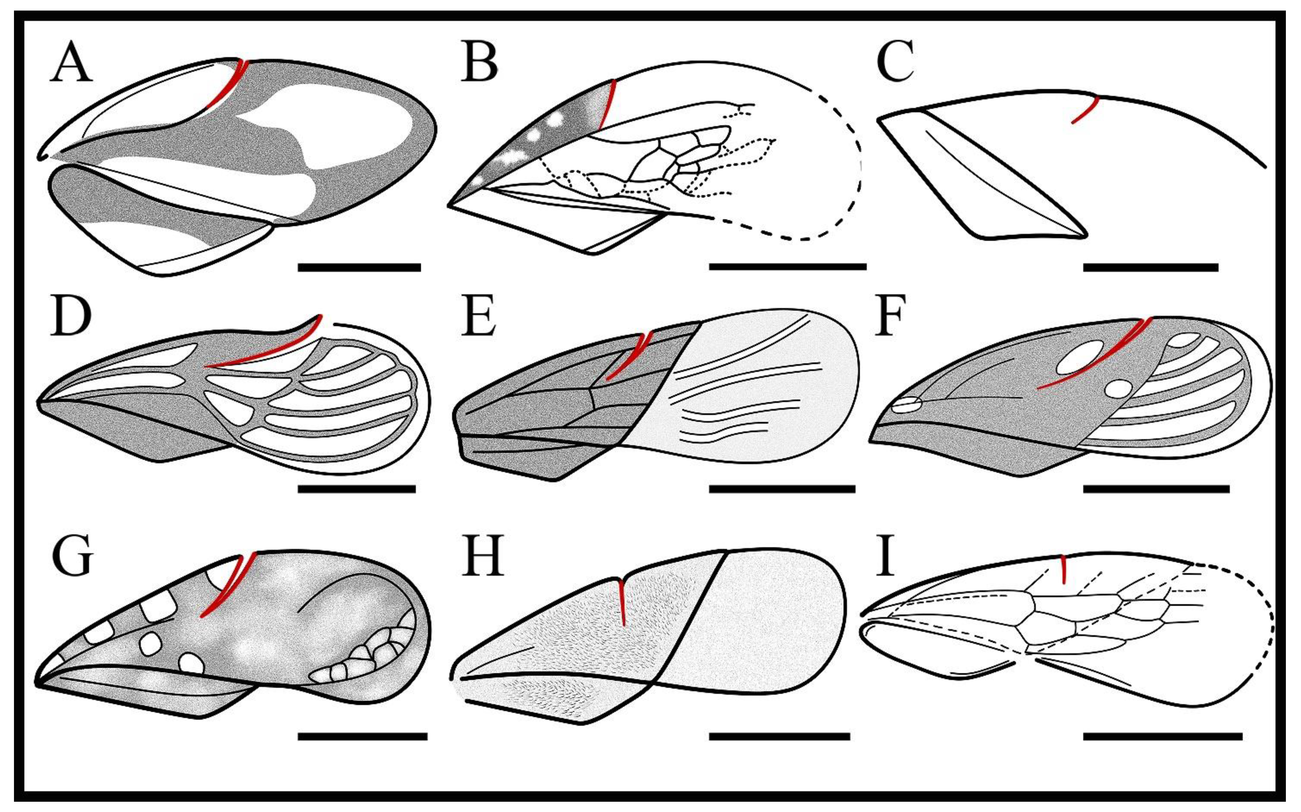 Insects 13 00689 g005