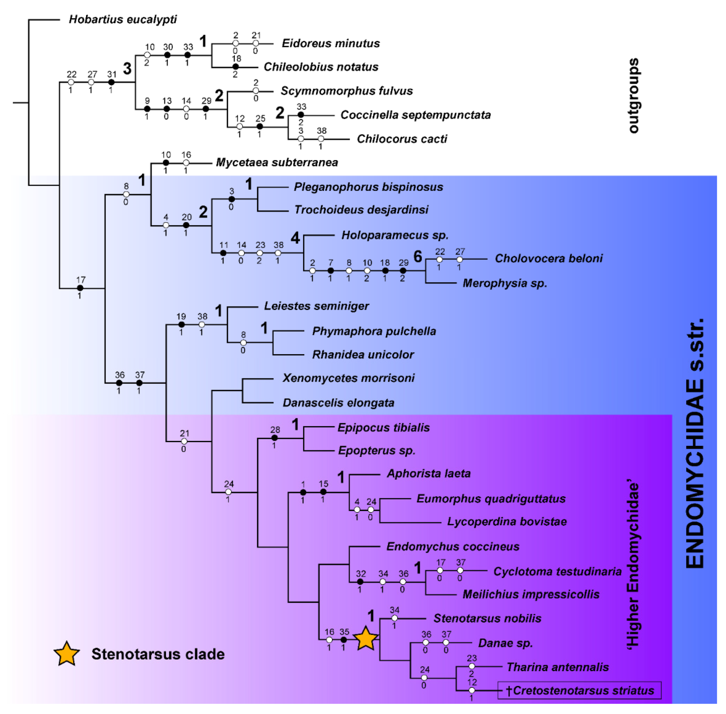 Insects 13 00690 g001