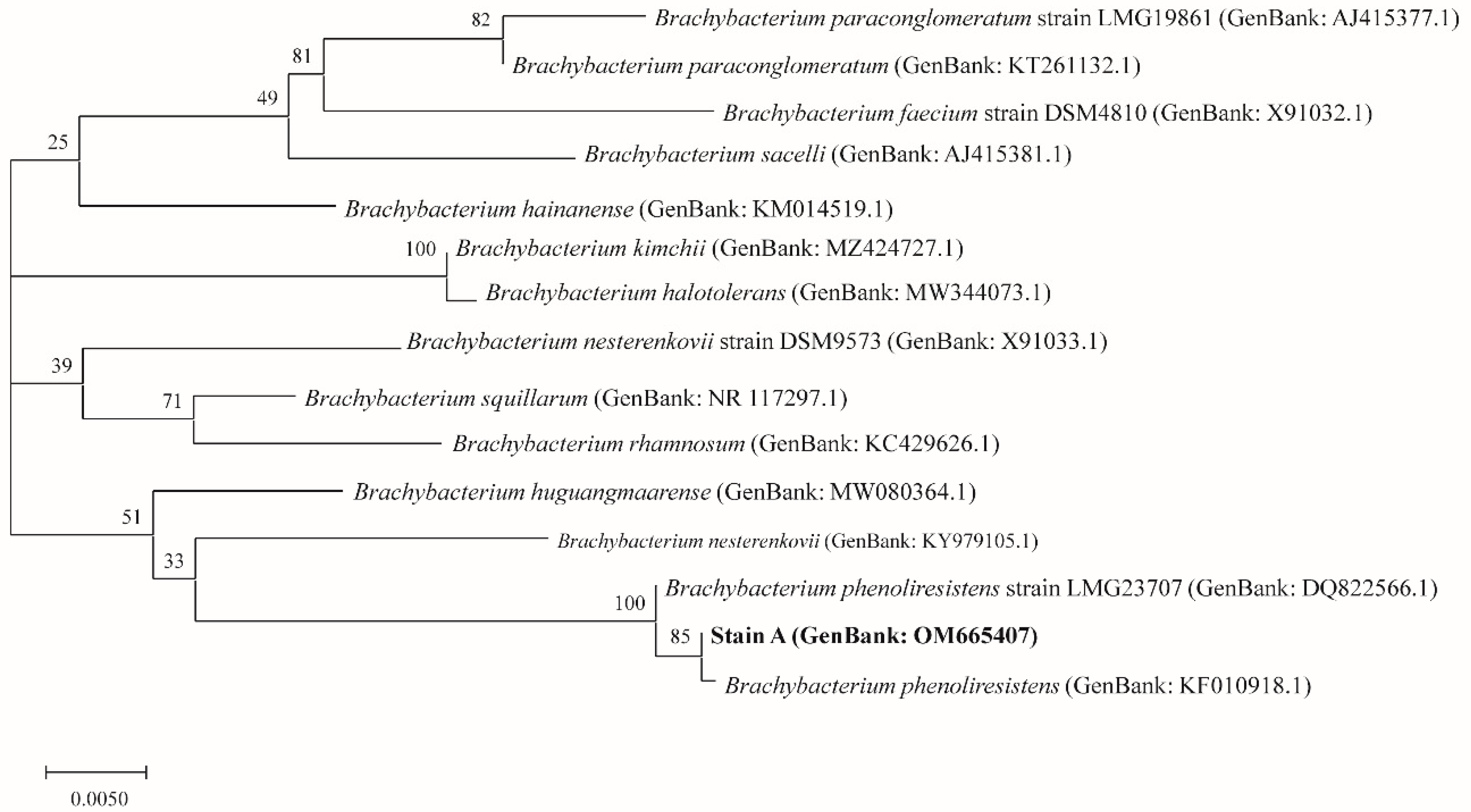 Insects 13 00691 g002