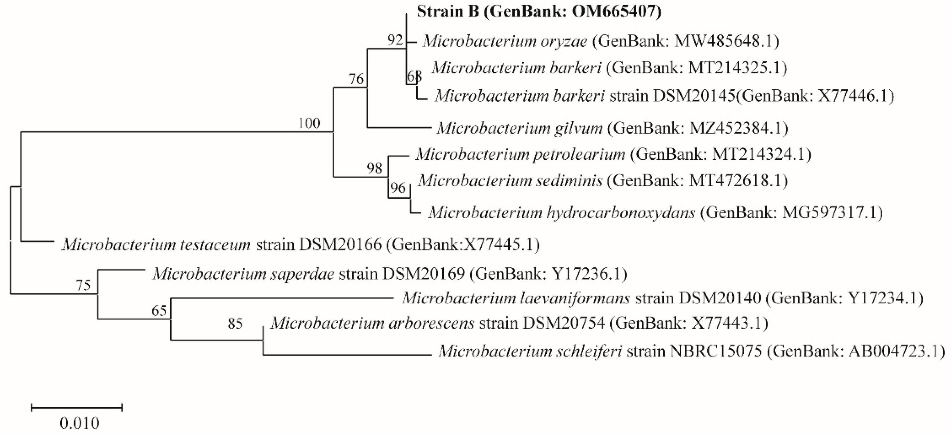 Insects 13 00691 g003