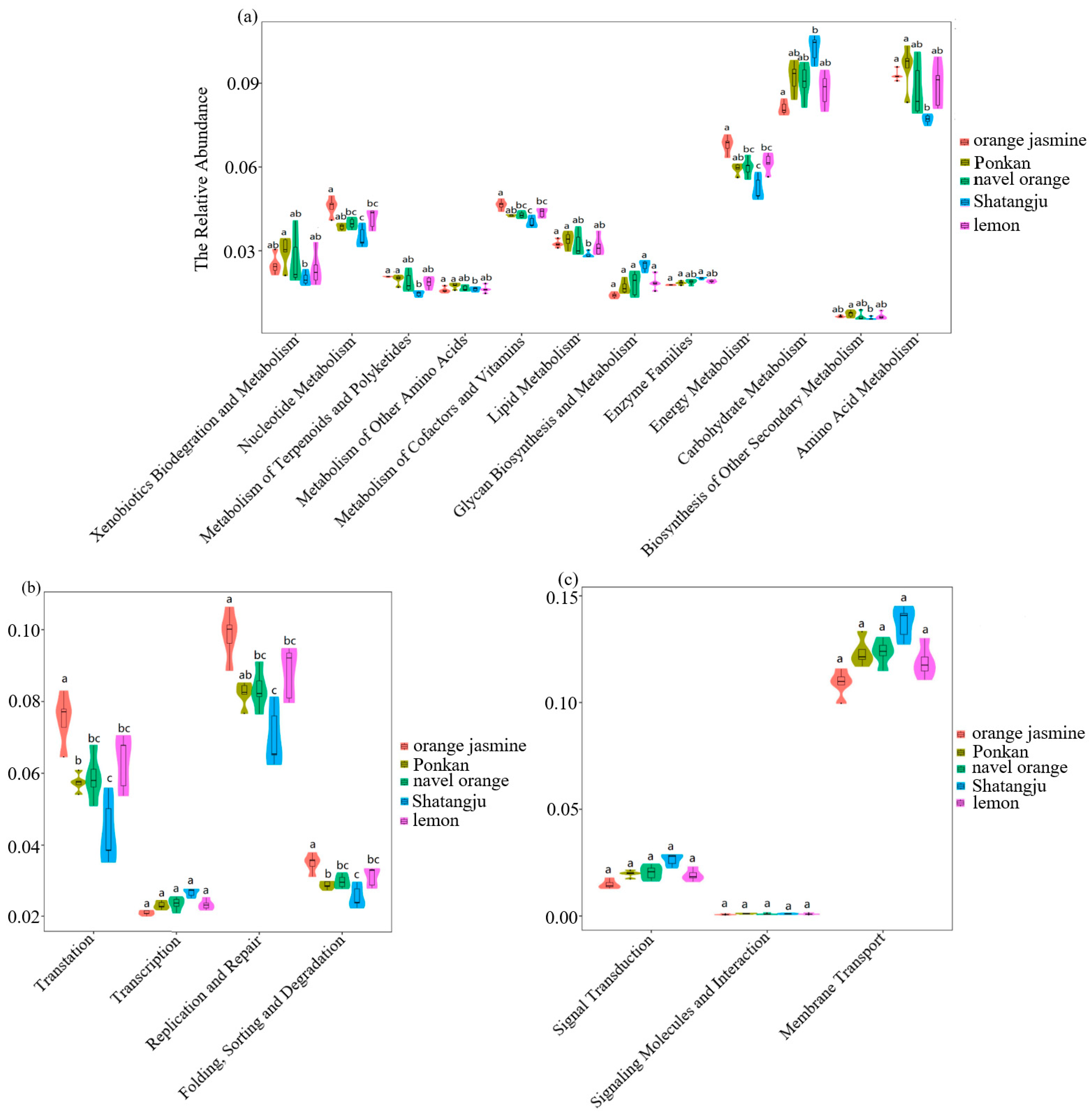 Insects 13 00694 g007