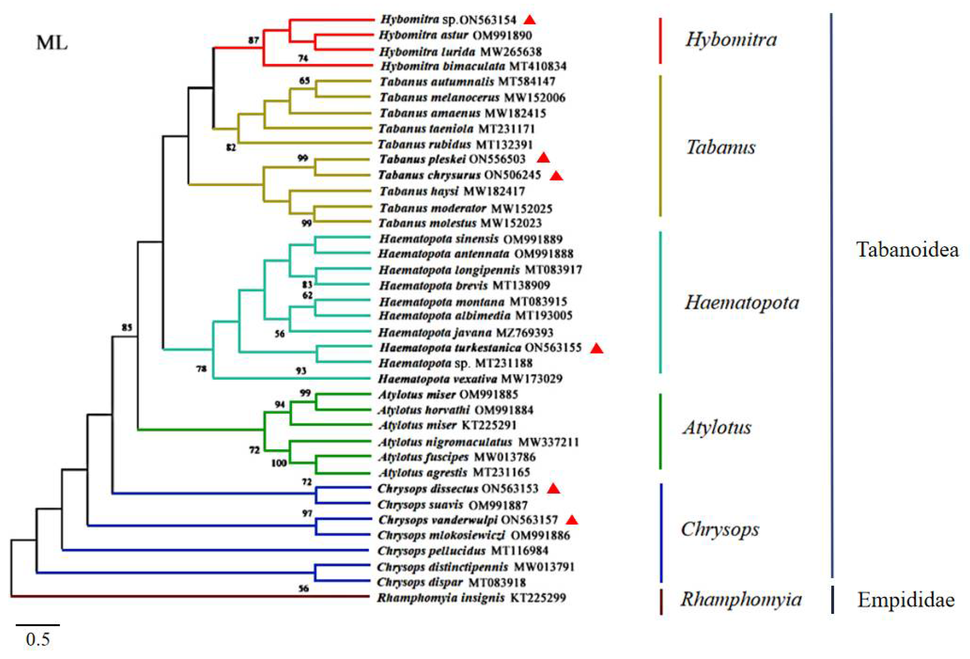 Insects 13 00695 g002