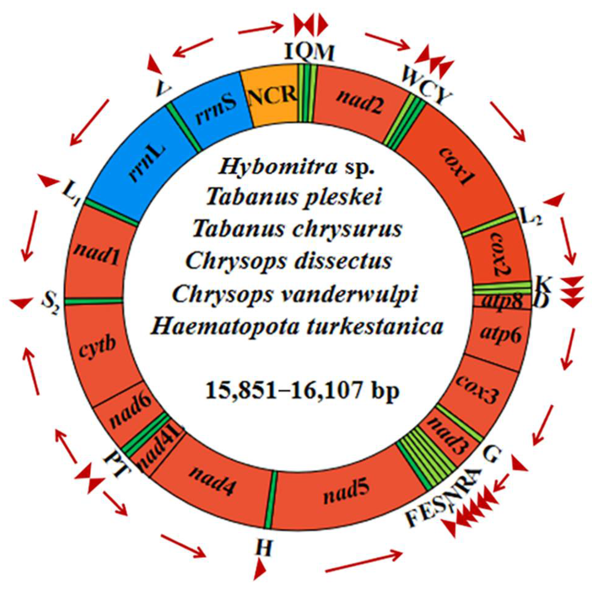 Insects 13 00695 g003