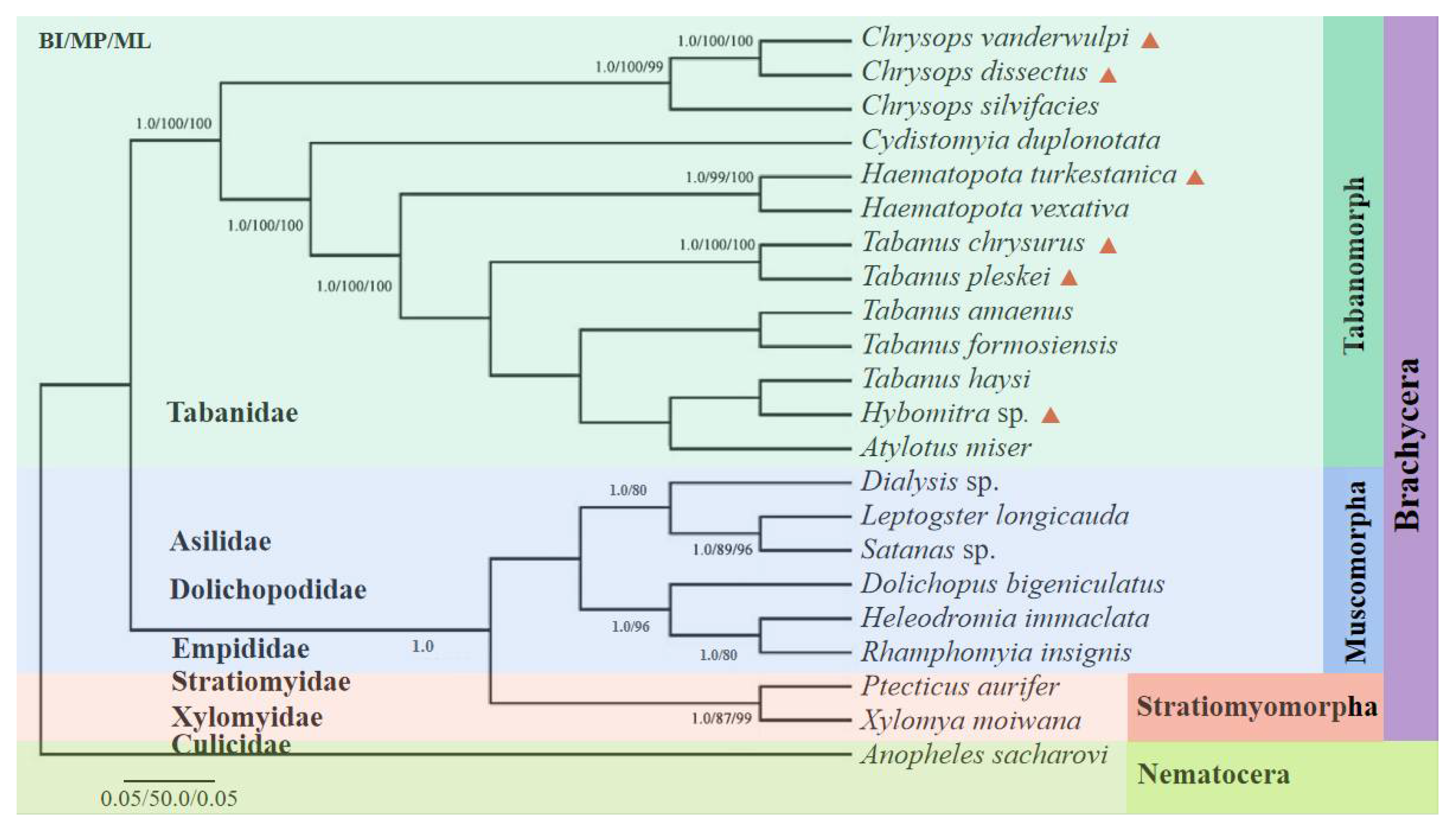 Insects 13 00695 g008