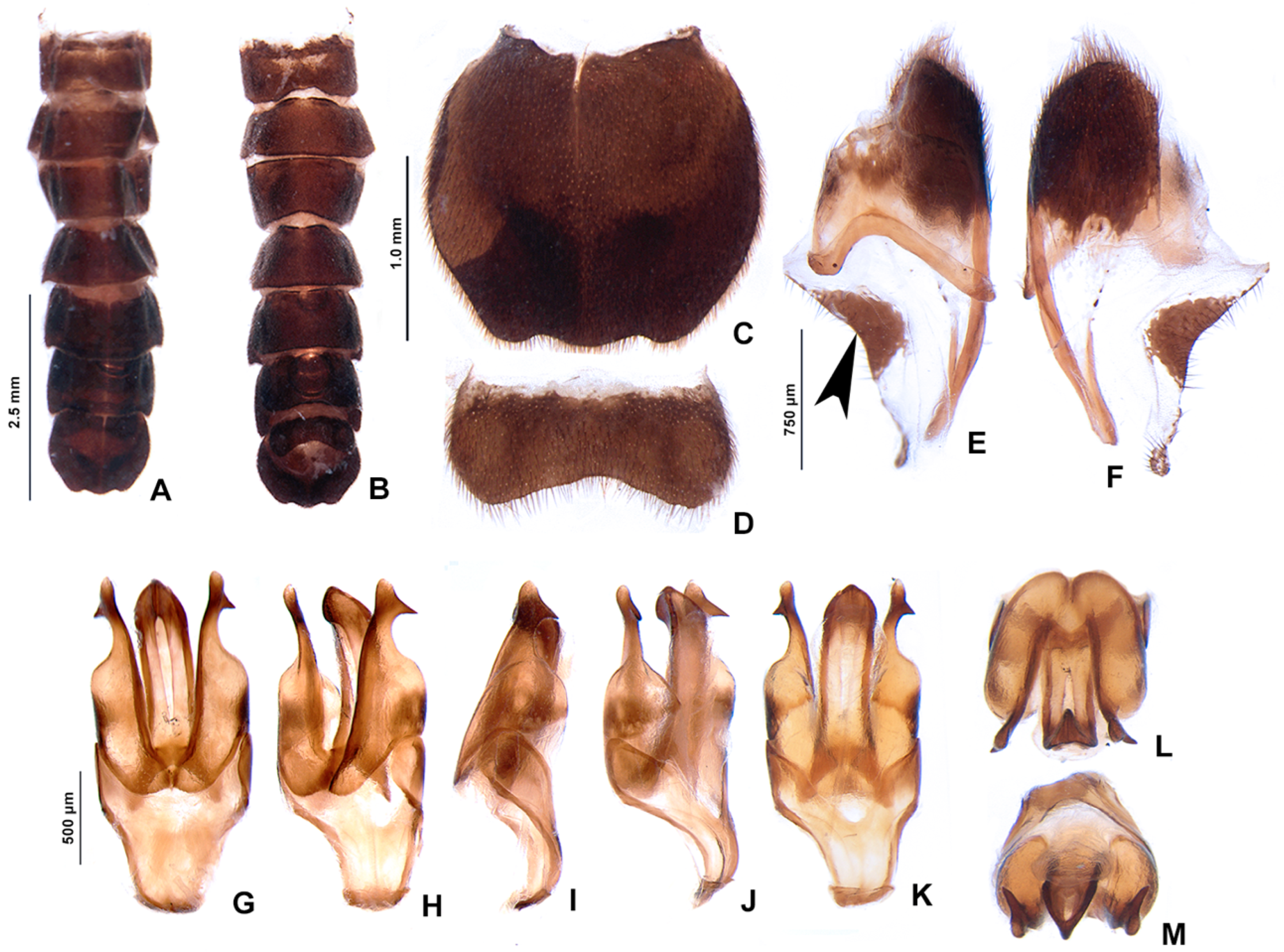 Insects 13 00697 g007