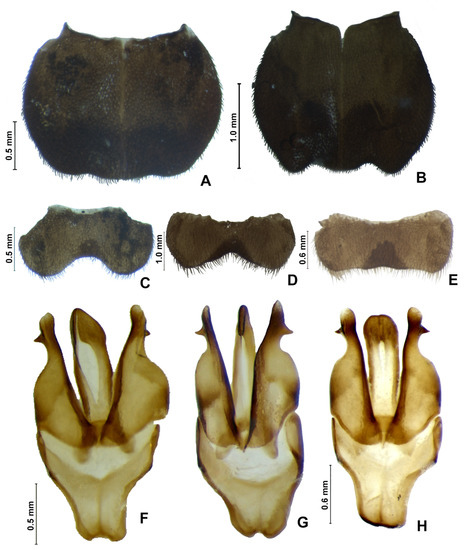 Insects 13 00697 g008 550