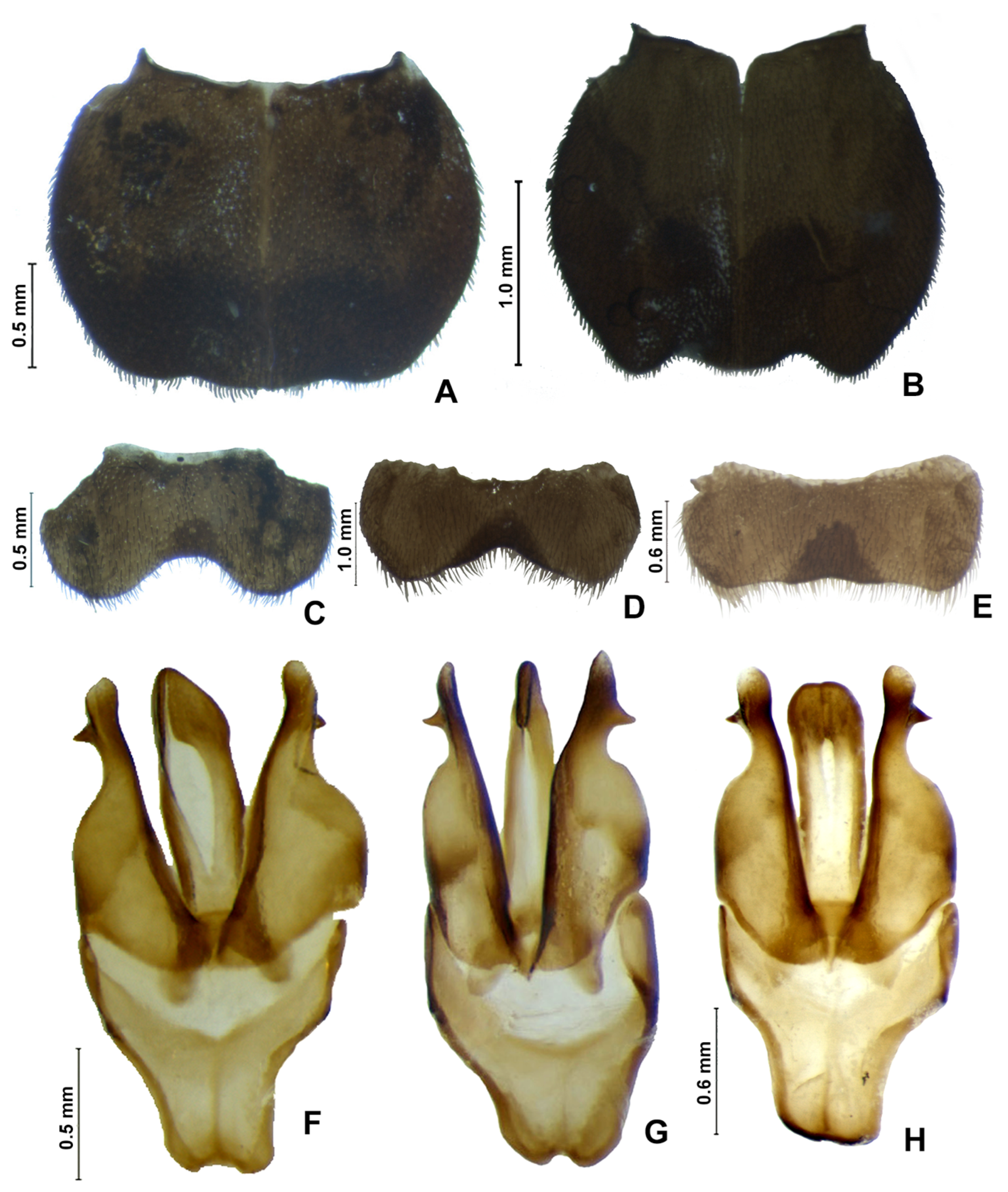 Insects 13 00697 g008