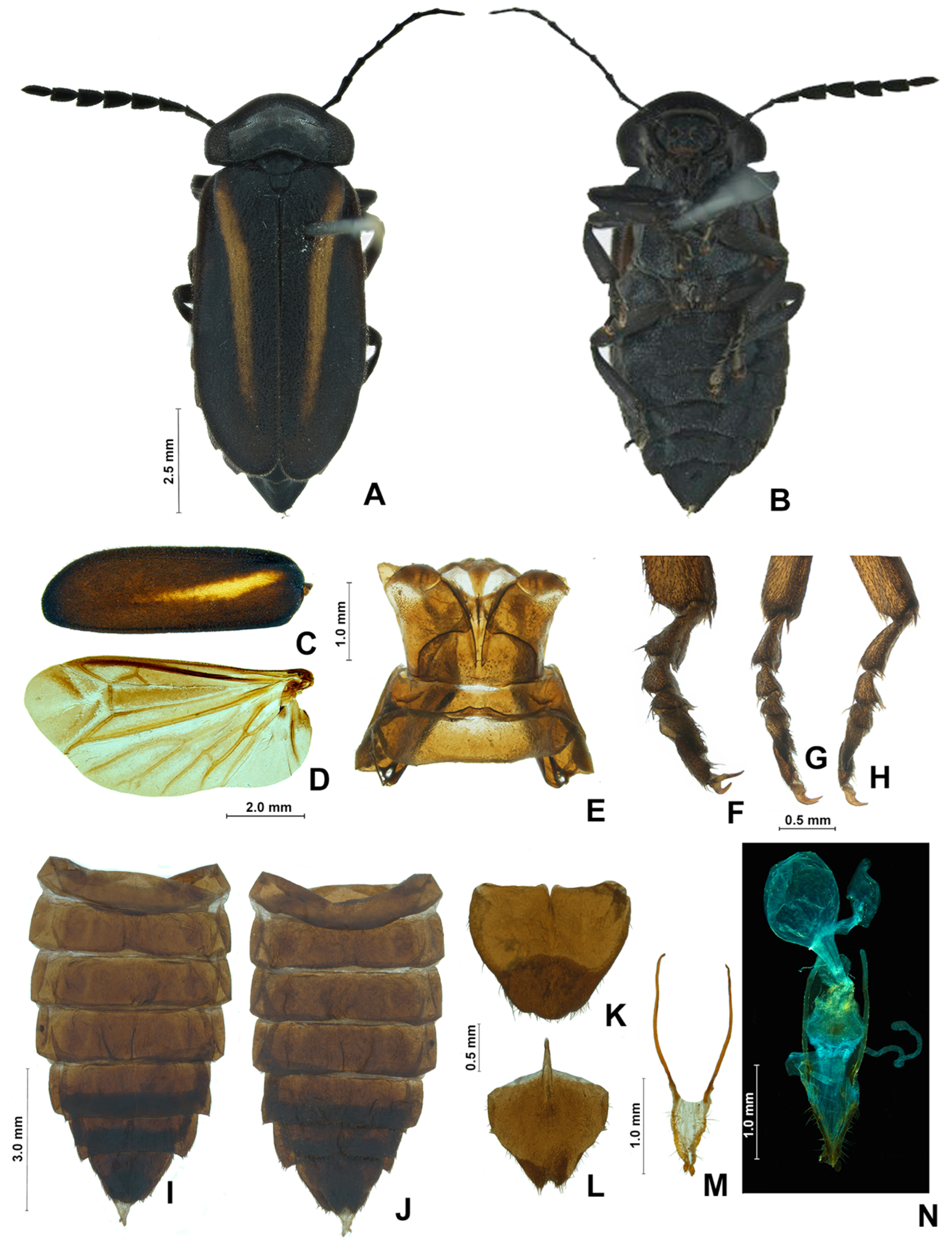 Insects 13 00697 g009