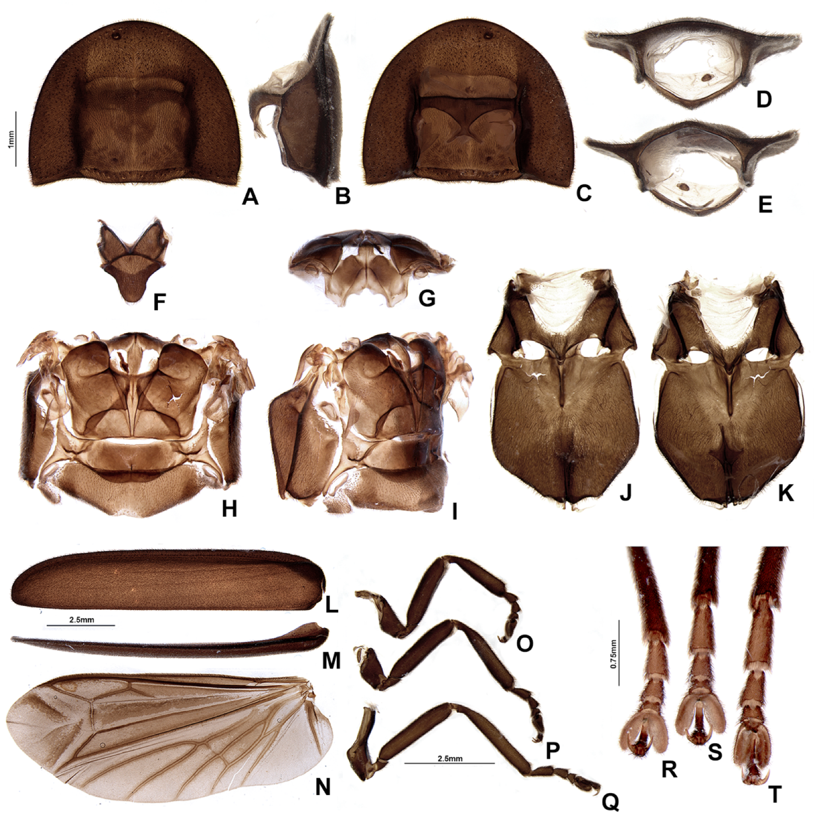 Insects 13 00697 g014