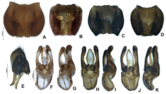 Insects 13 00697 g016 550