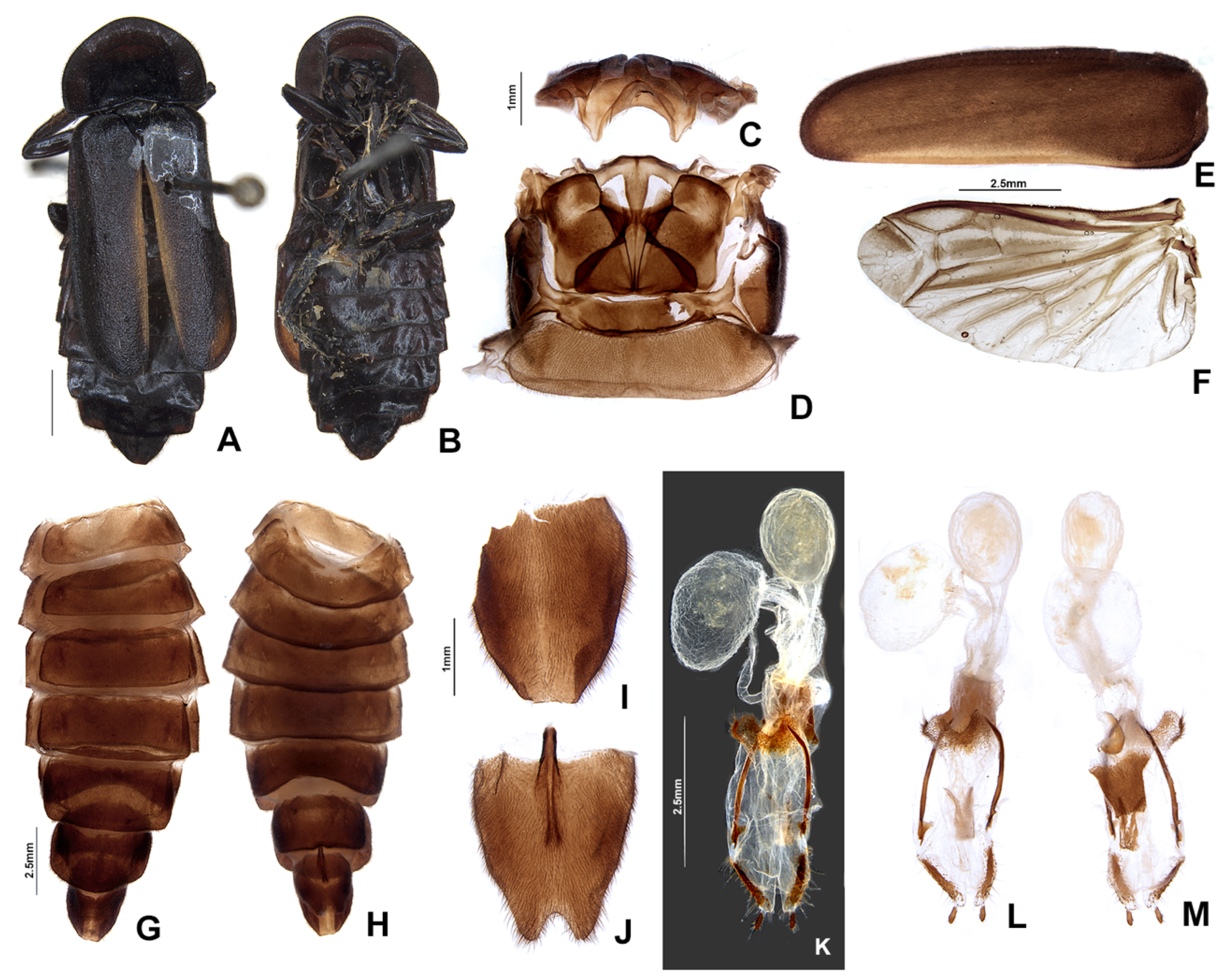 Insects 13 00697 g017