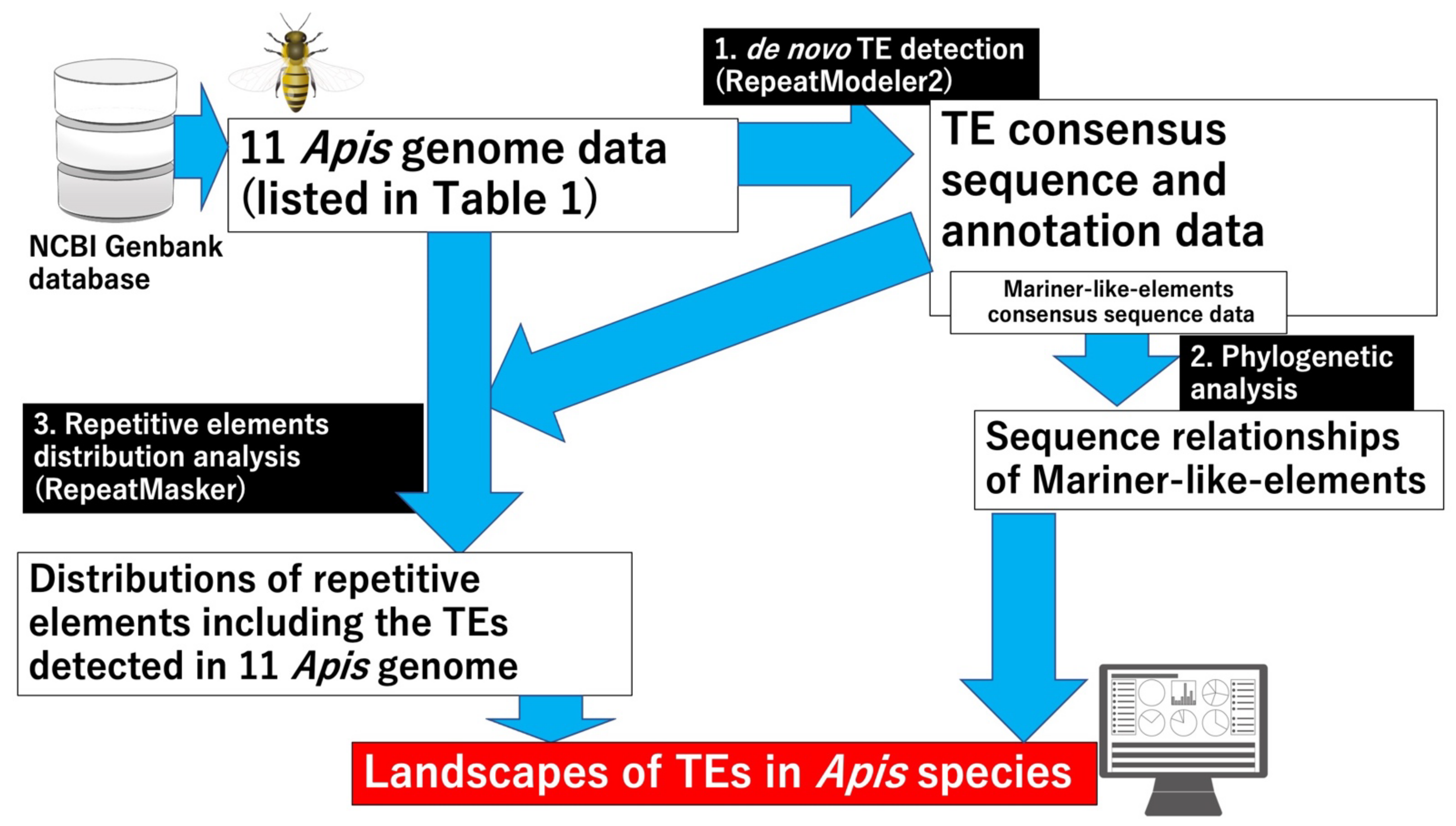 Insects 13 00698 g001